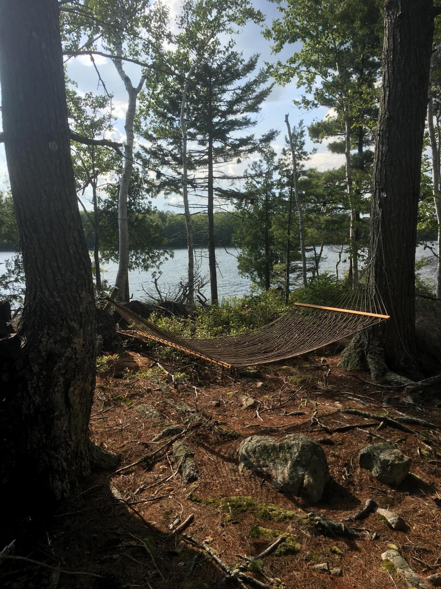 M35 L56 Nash's Lake Property Photo 54