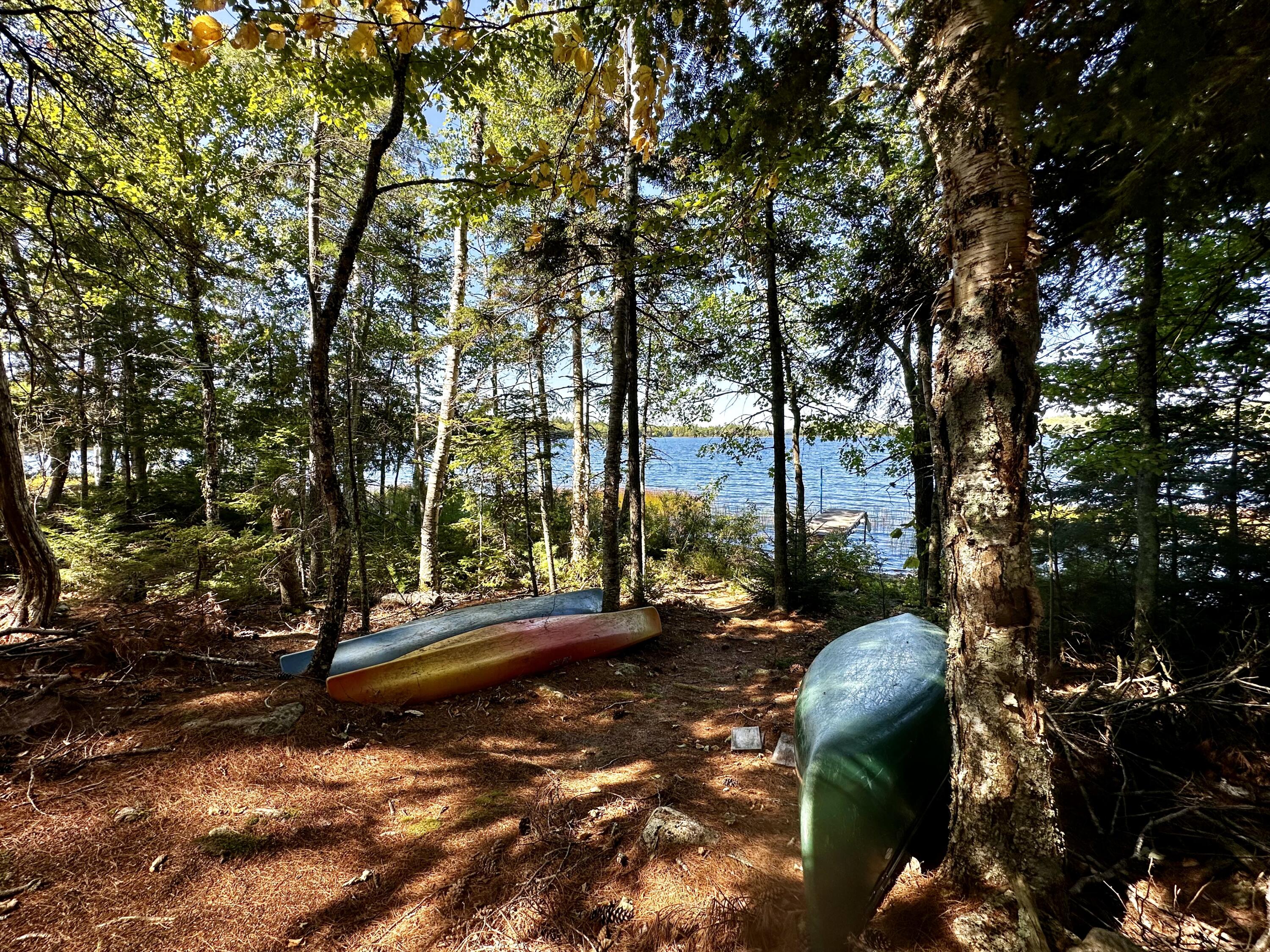 M35 L56 Nash's Lake Property Photo 57