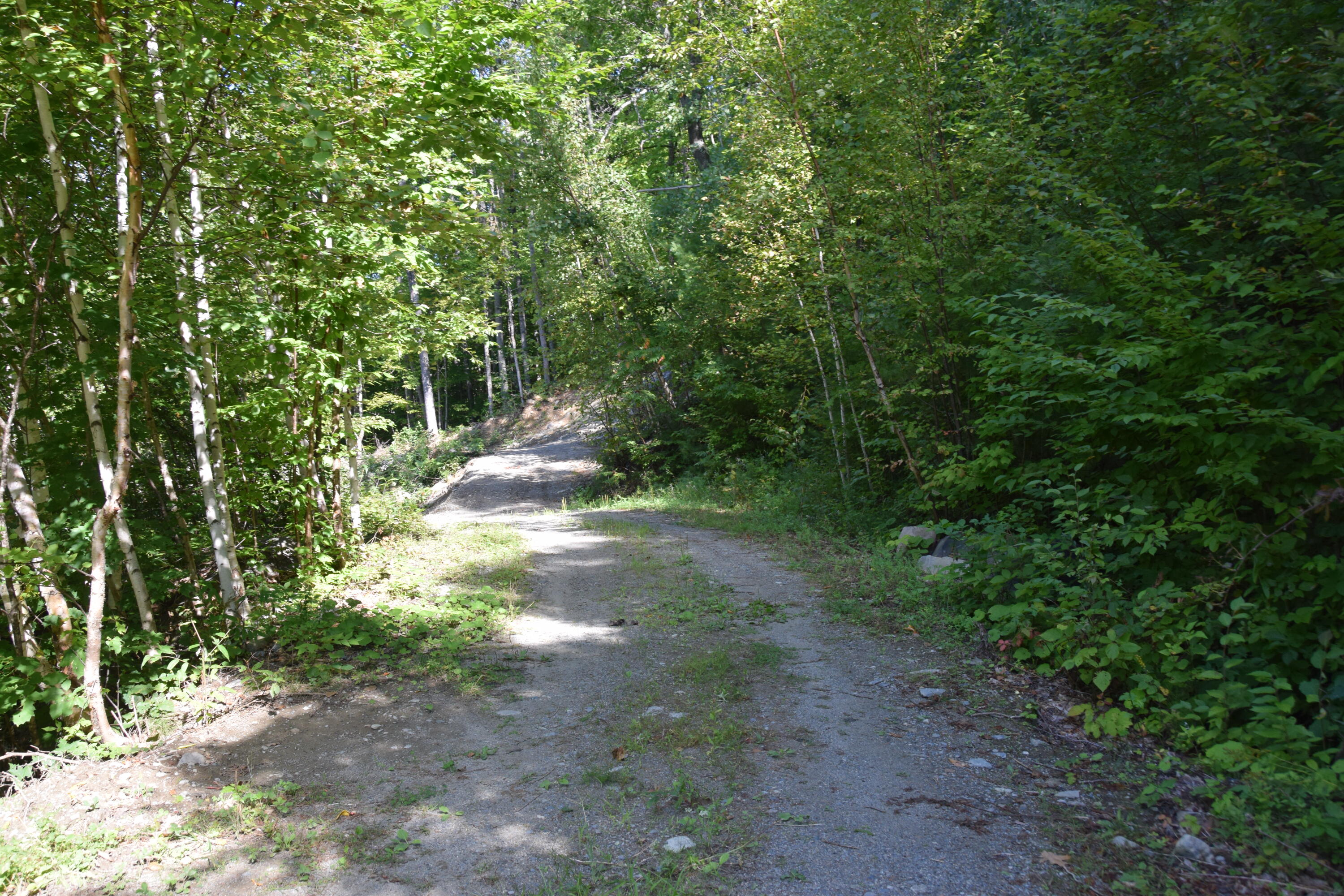 1027 Canada Road Property Photo 29
