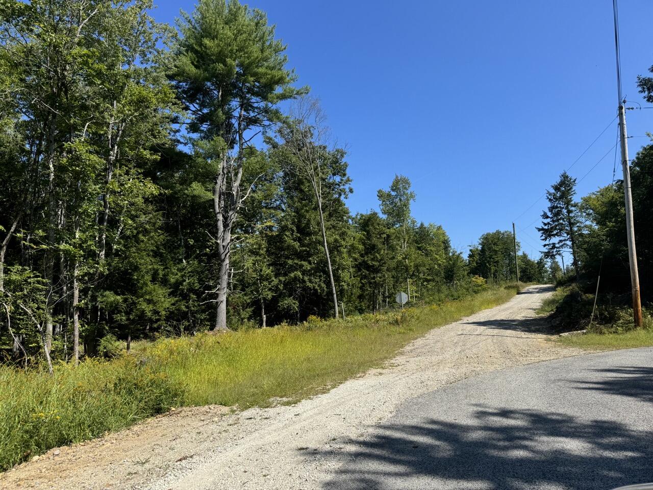 Lot 105 Dog Road Property Photo 2