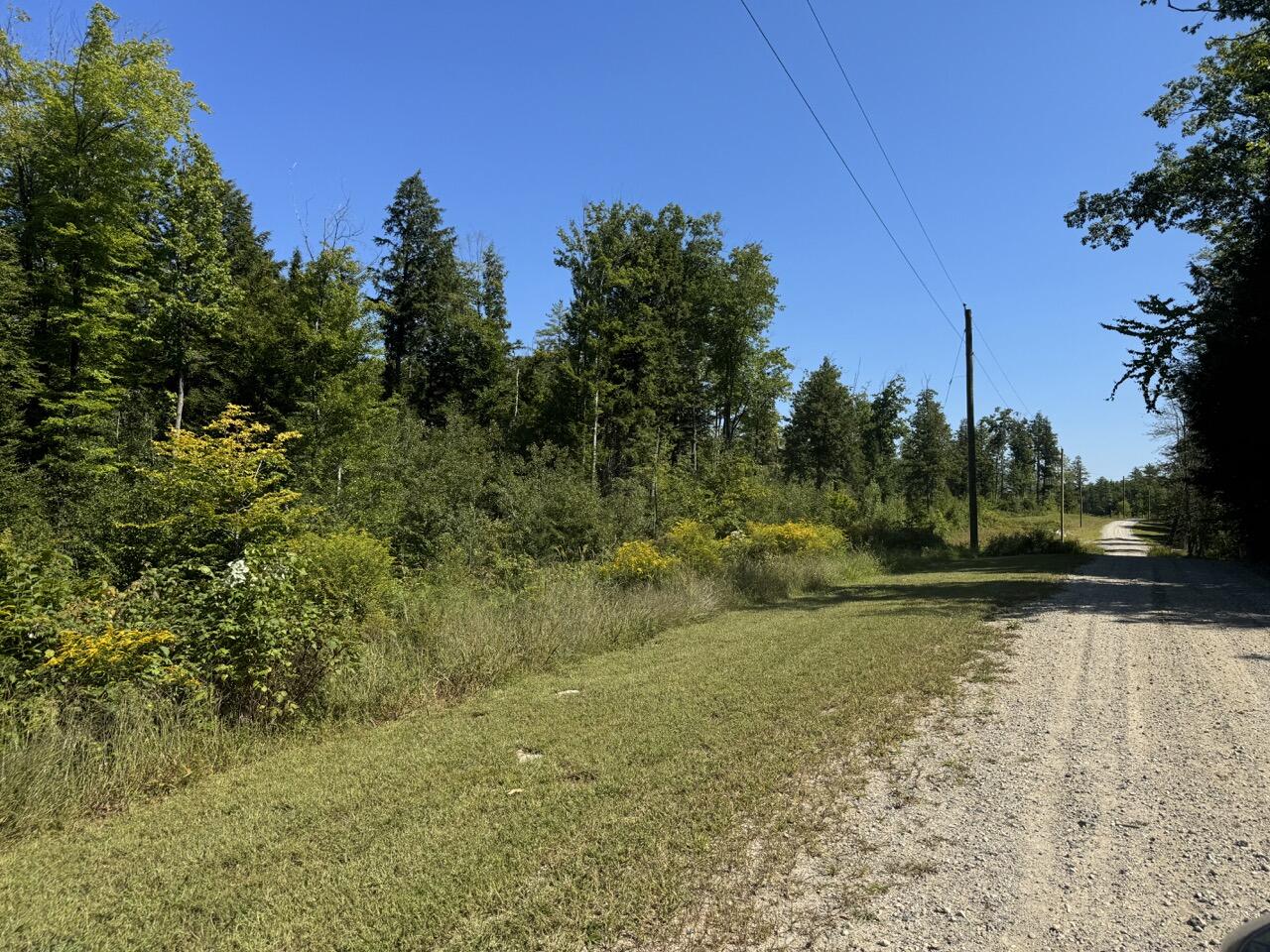 Lot 105 Dog Road Property Photo 3