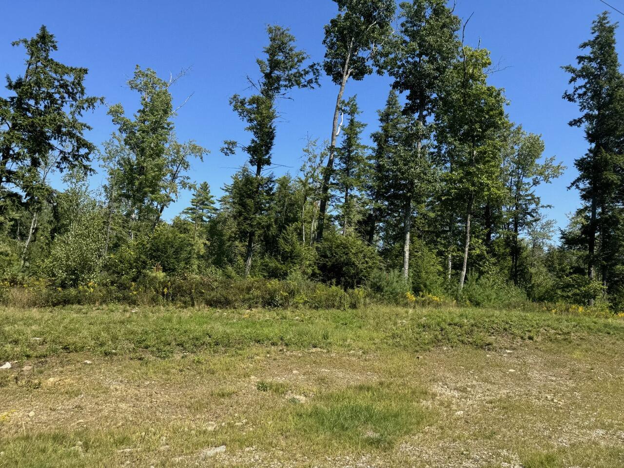 Lot 105 Dog Road Property Photo 4