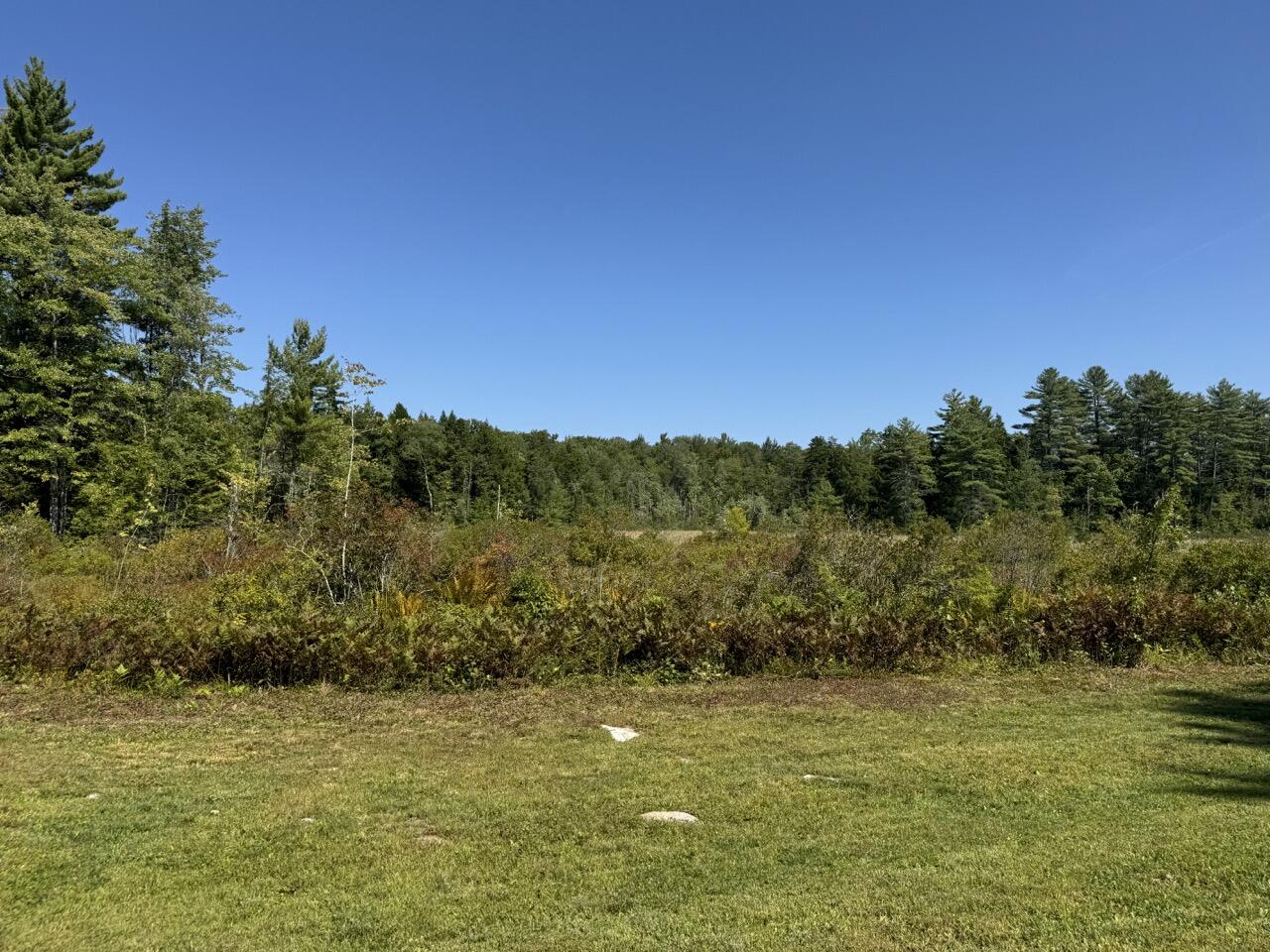 Lot 105 Dog Road Property Photo 5