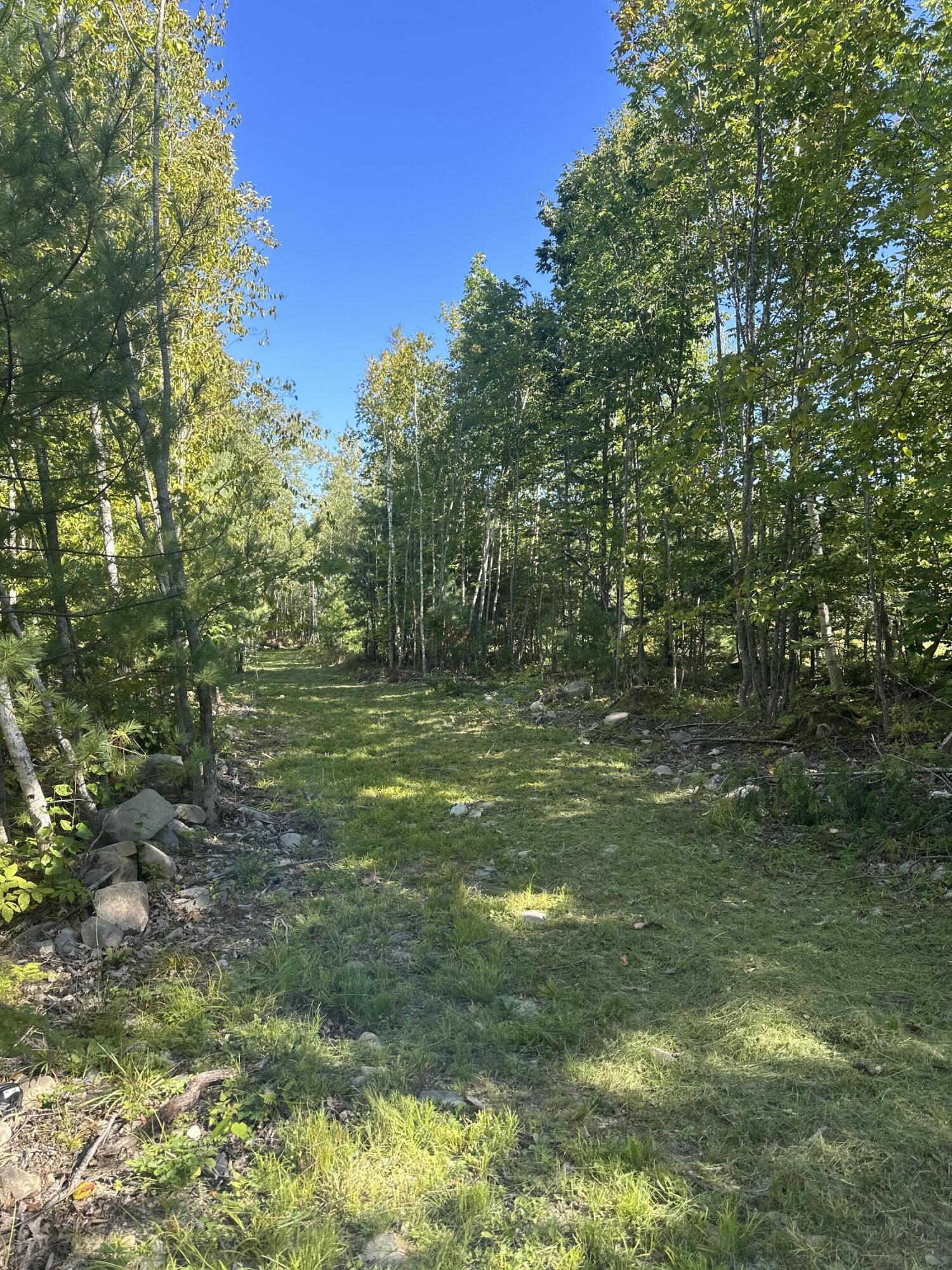 Tbd Chemo Pond Road Property Photo 4
