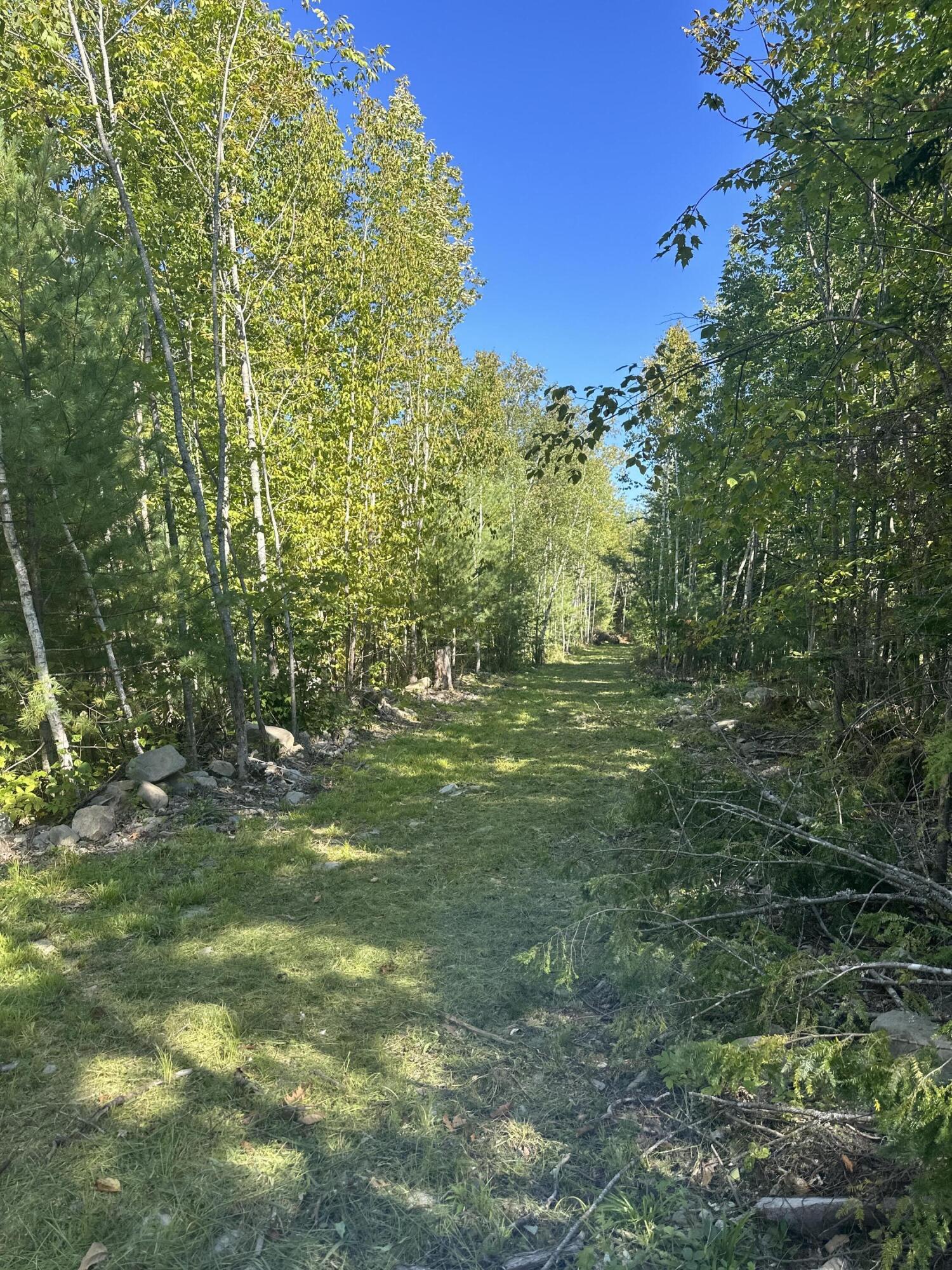 Tbd Chemo Pond Road Property Photo 5