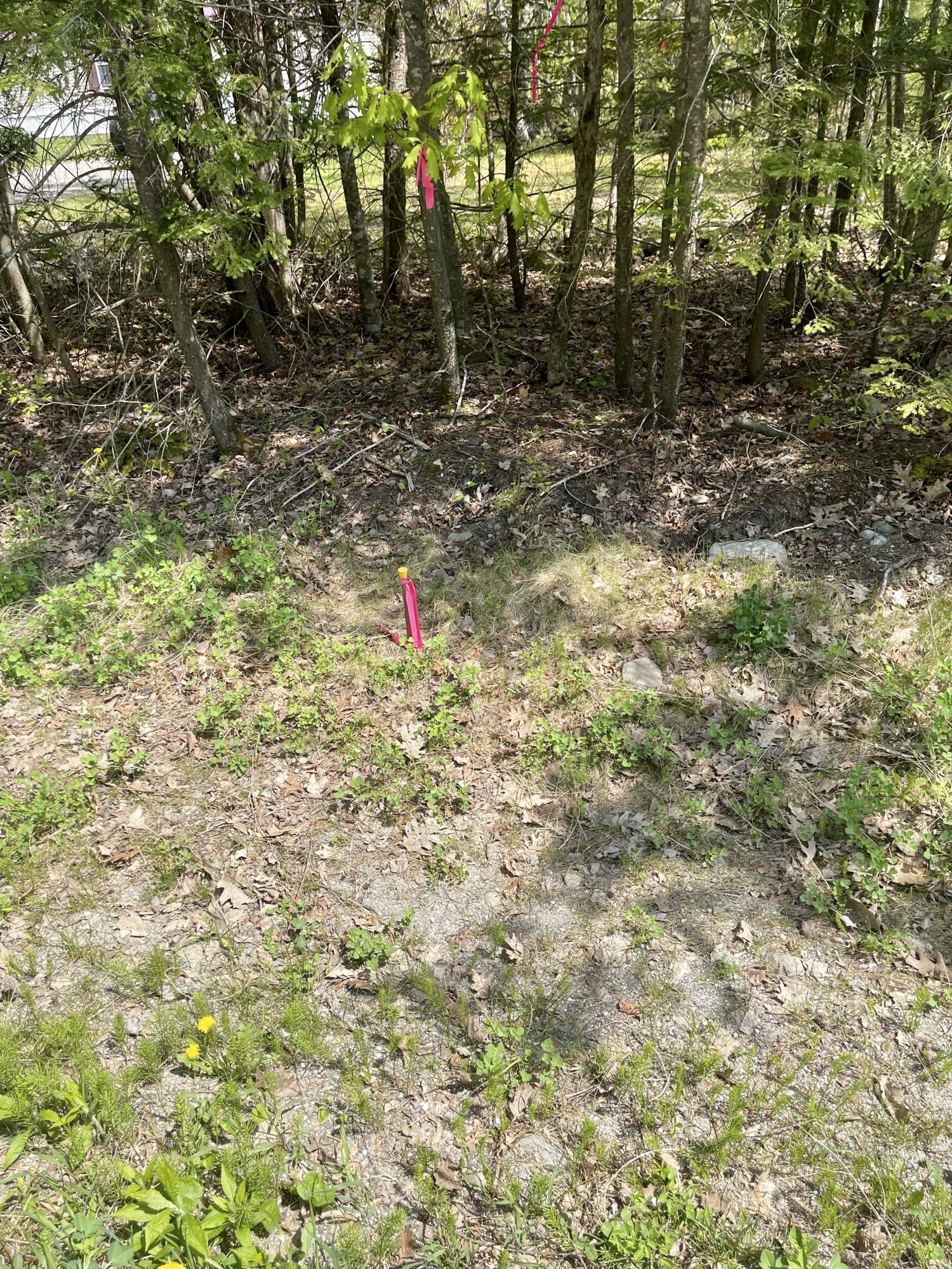 Tbd Chemo Pond Road Property Photo 7