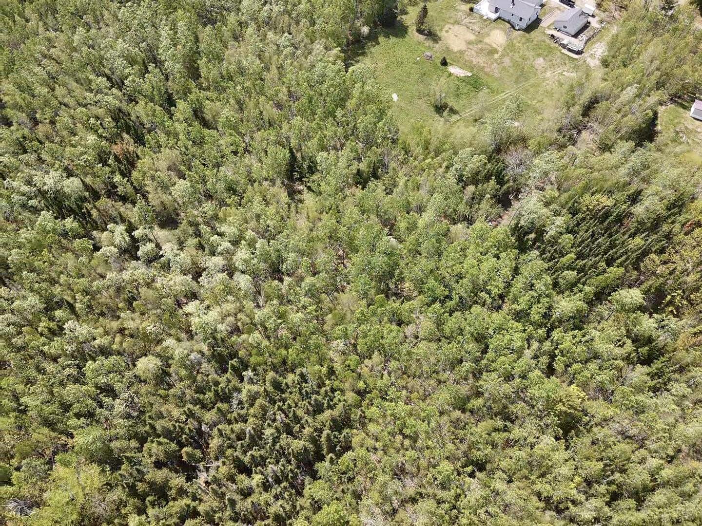 Tbd Chemo Pond Road Property Photo 15