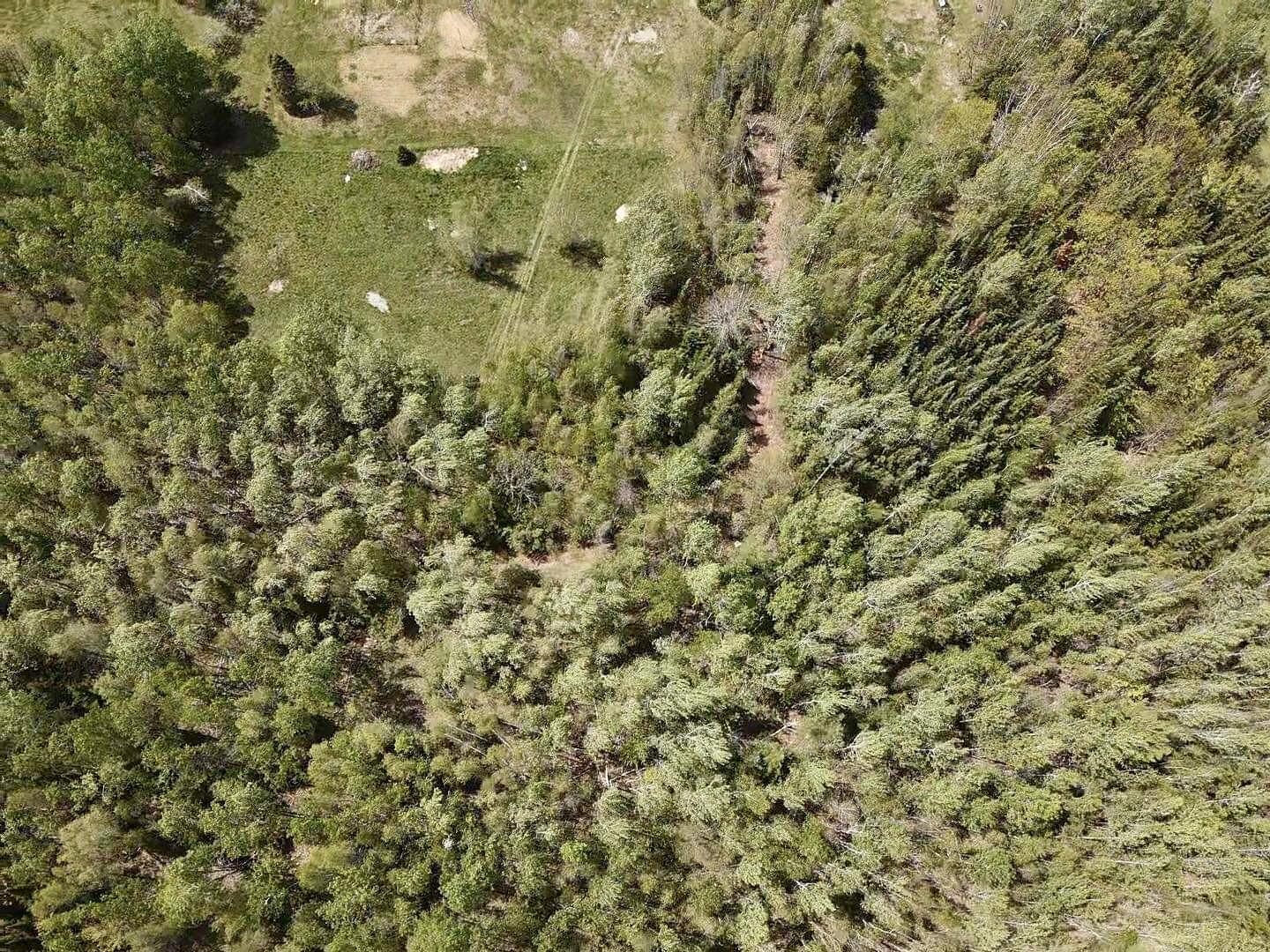 Tbd Chemo Pond Road Property Photo 17
