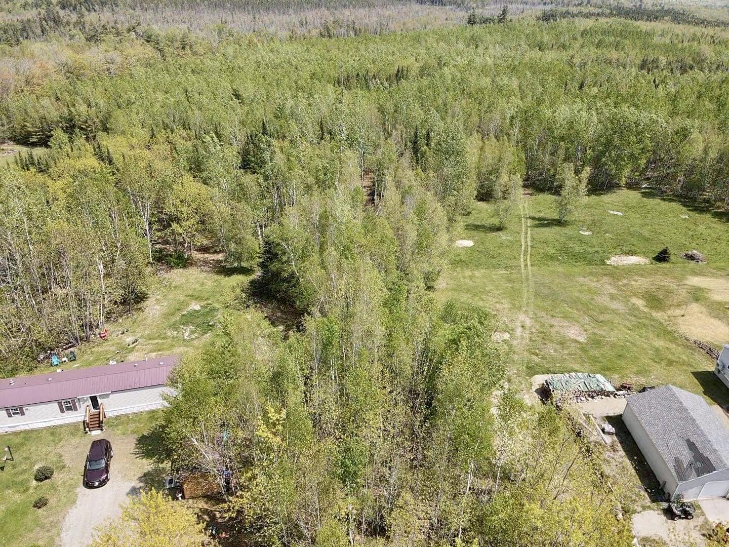 Tbd Chemo Pond Road Property Photo 19
