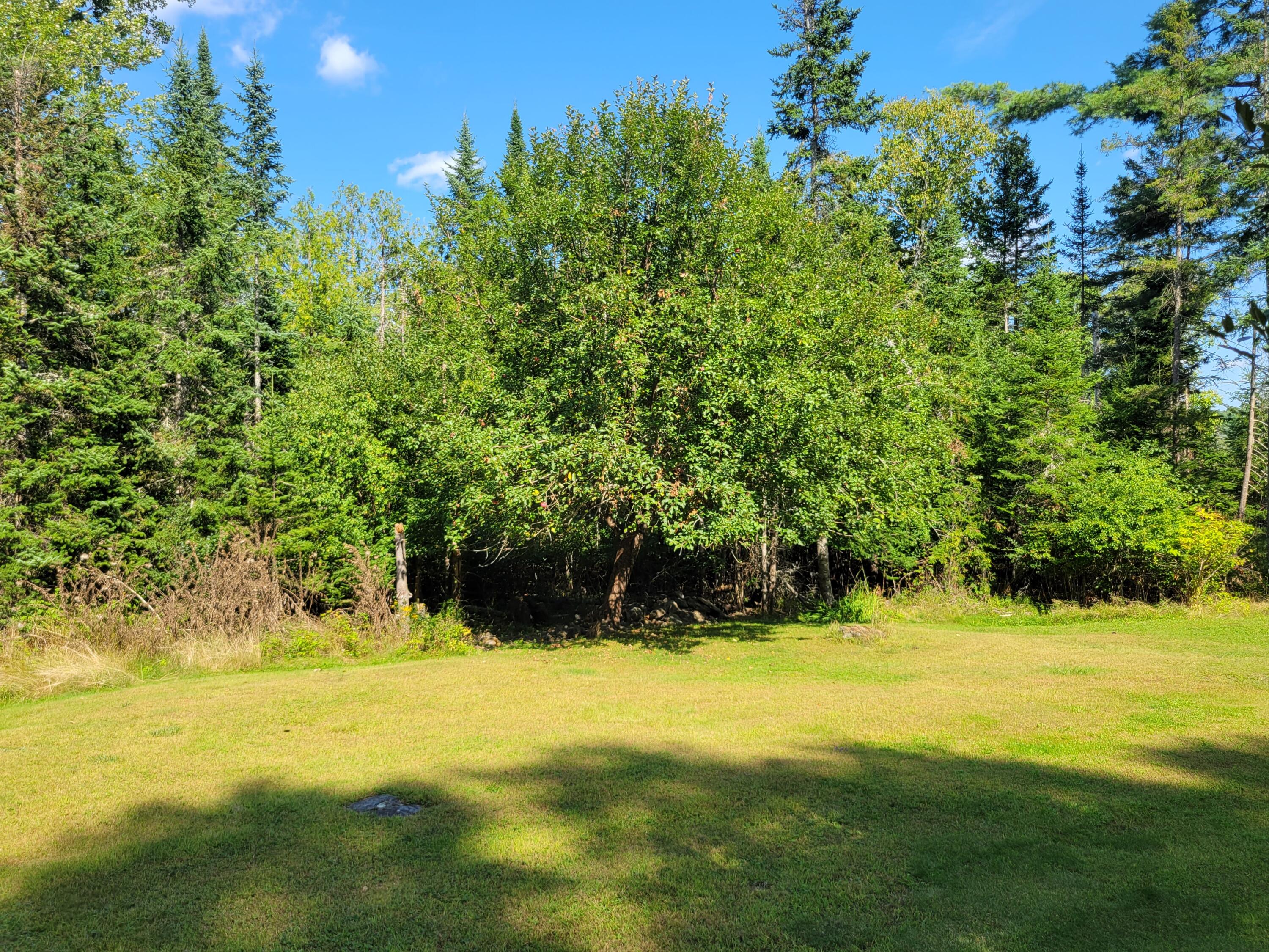 458 Lambert Road Property Photo 7