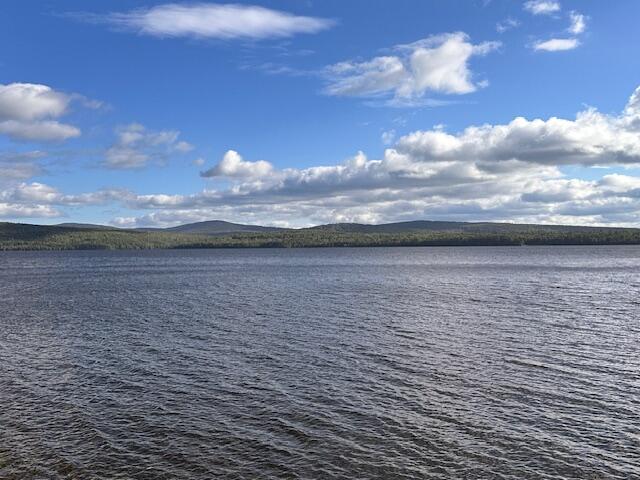 112 Lakeside Lodges Road Property Photo 30