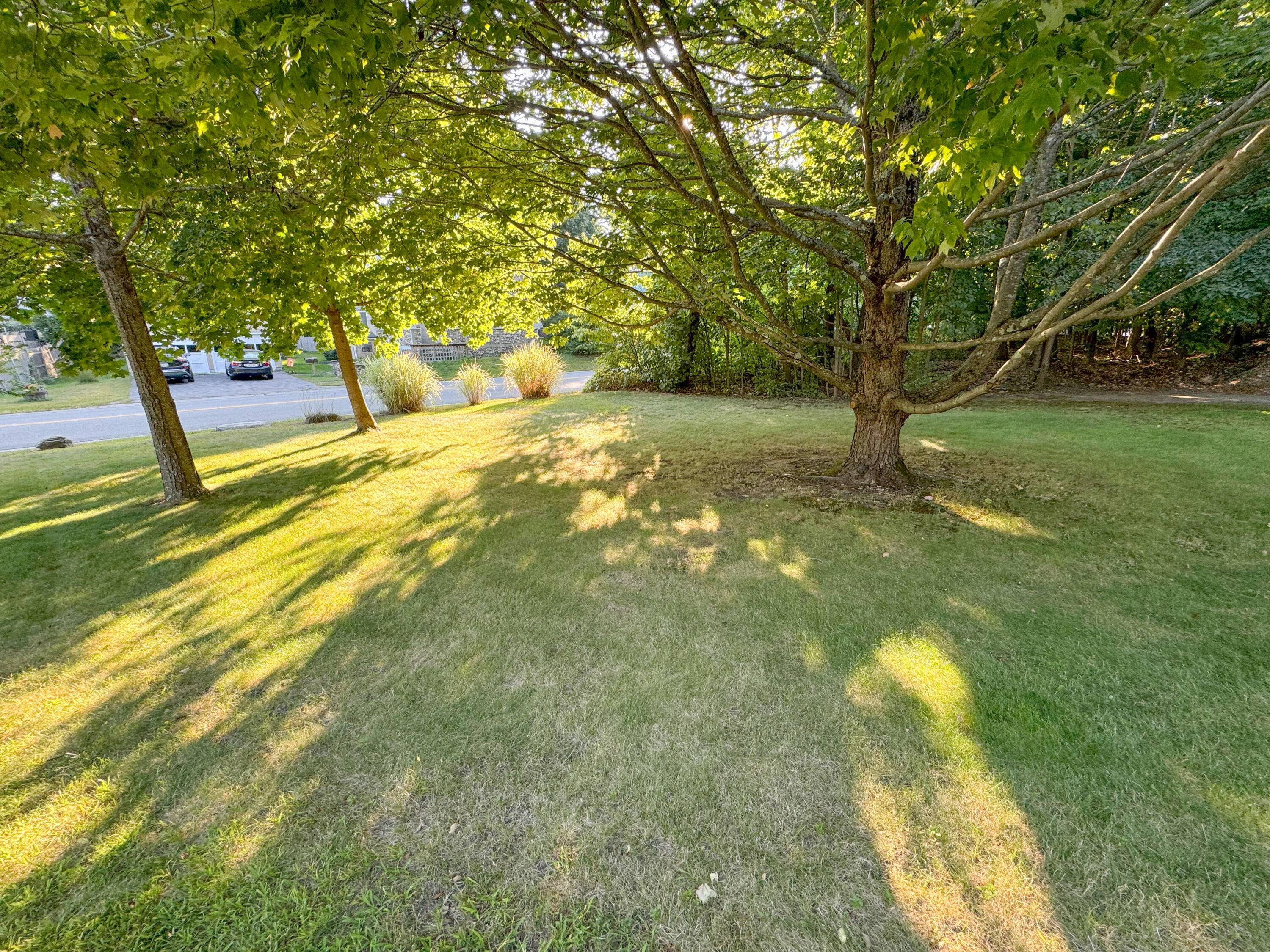 128 School Street Property Photo 9