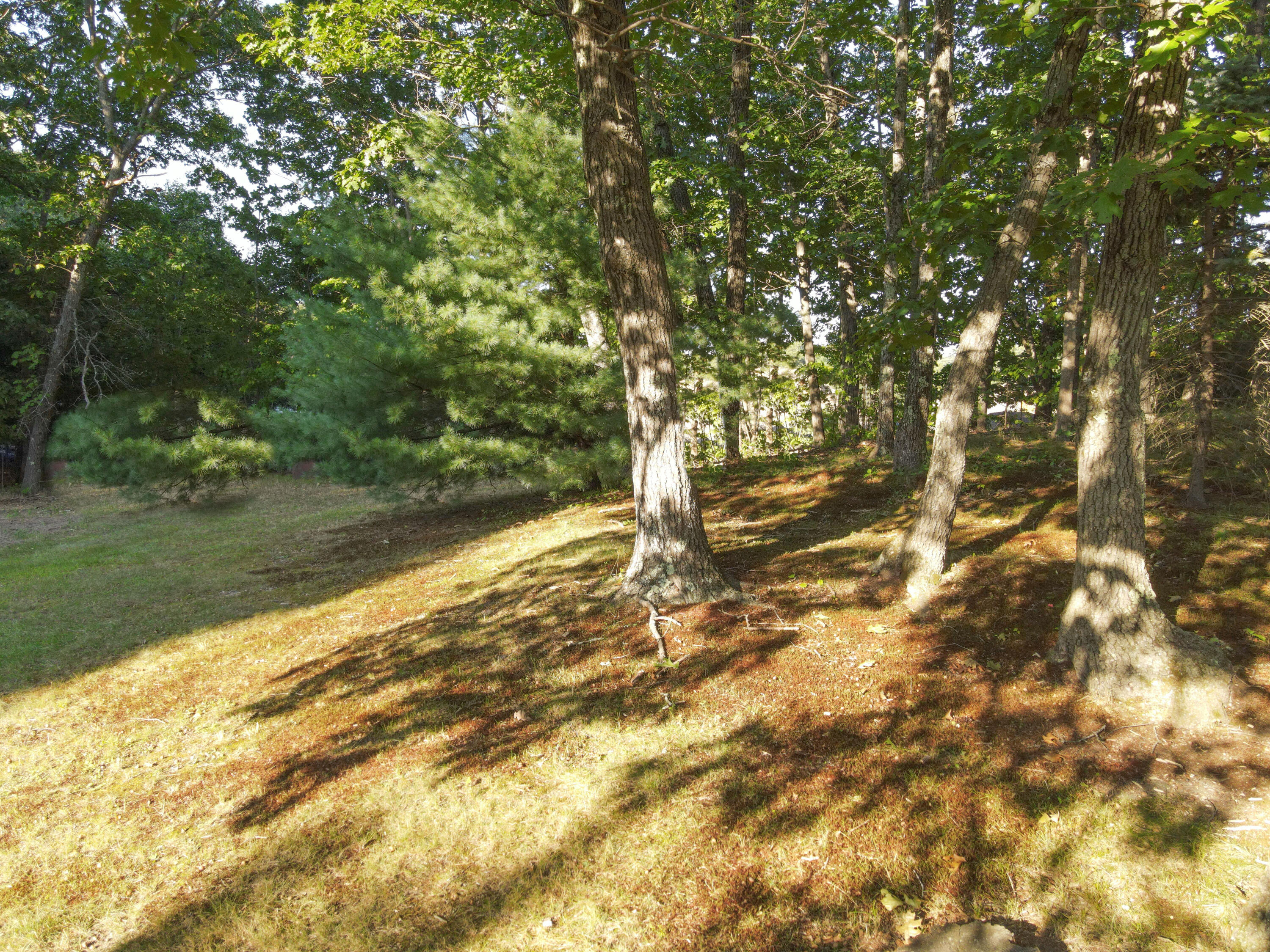128 School Street Property Photo 21