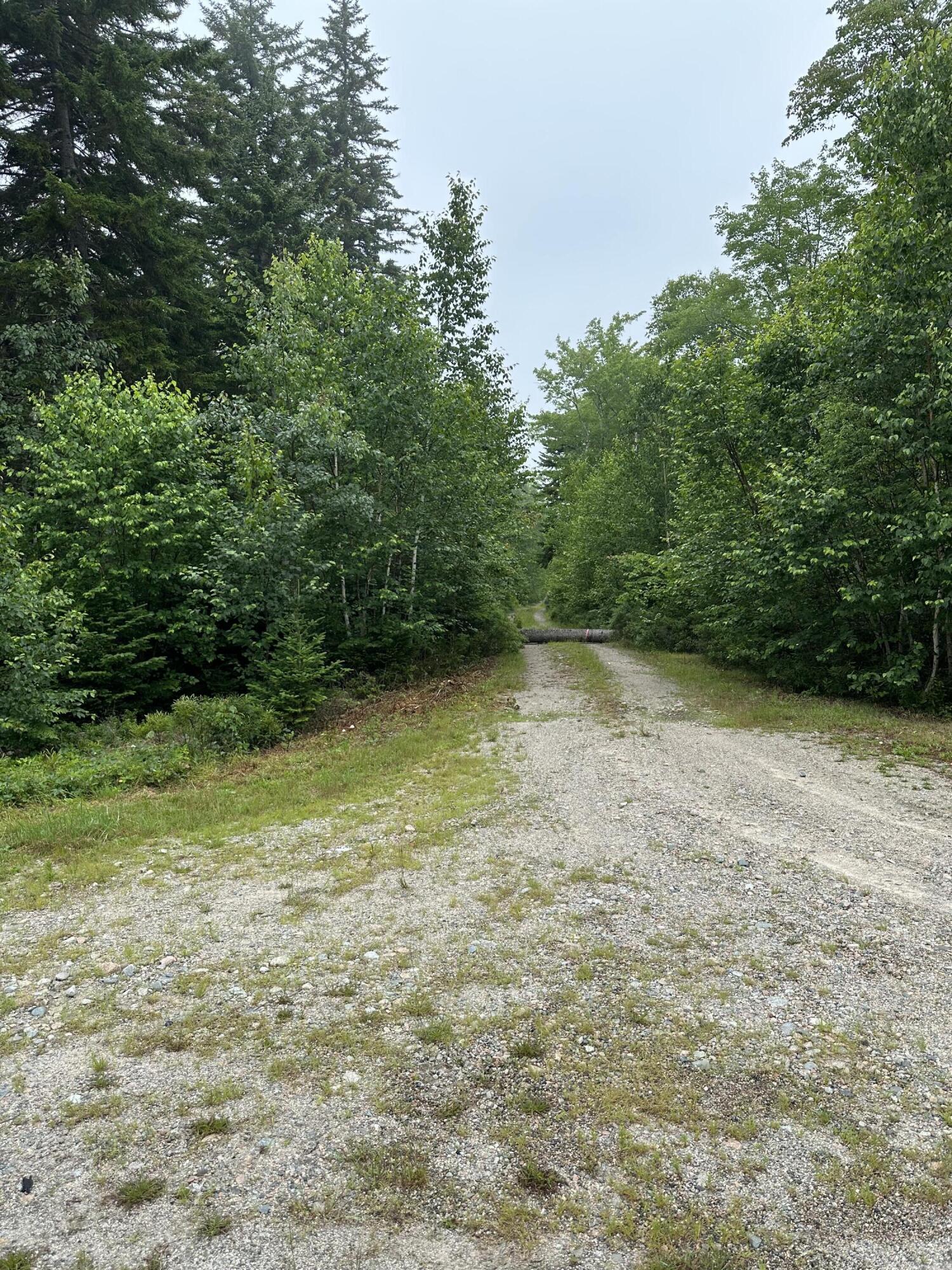 Lot 44 Estates Road Property Photo 3