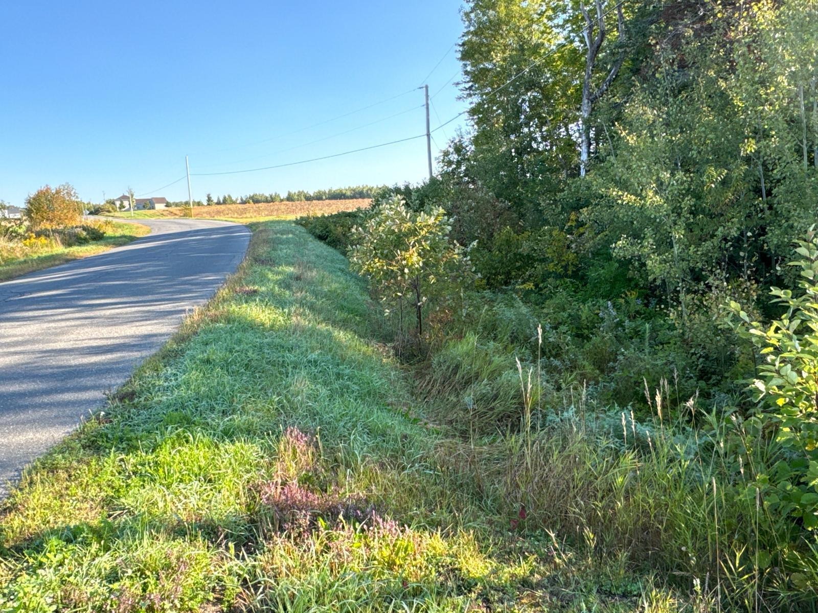 M8-l16 Grendell Road Property Photo 3