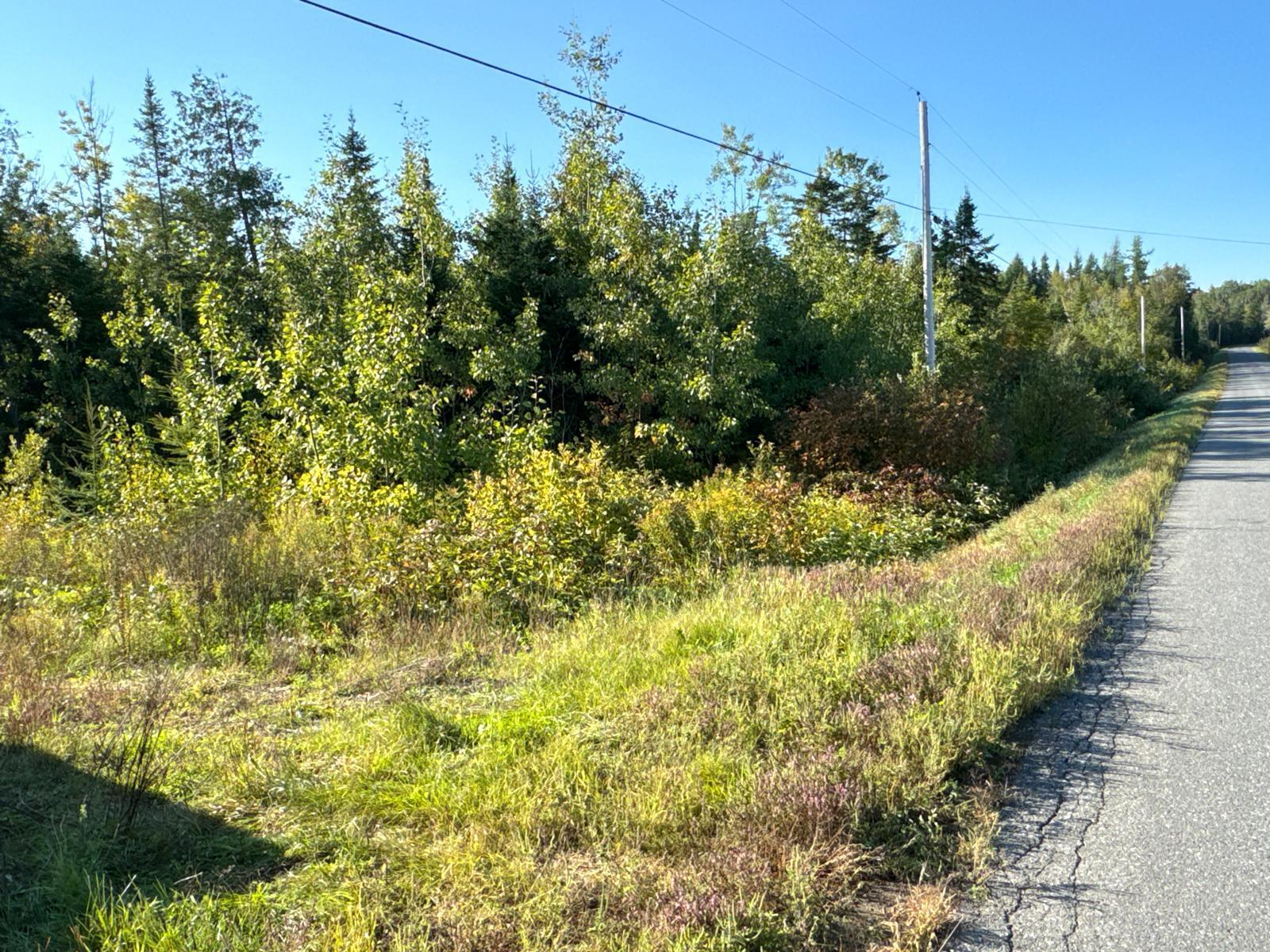 M8-l16 Grendell Road Property Photo 4