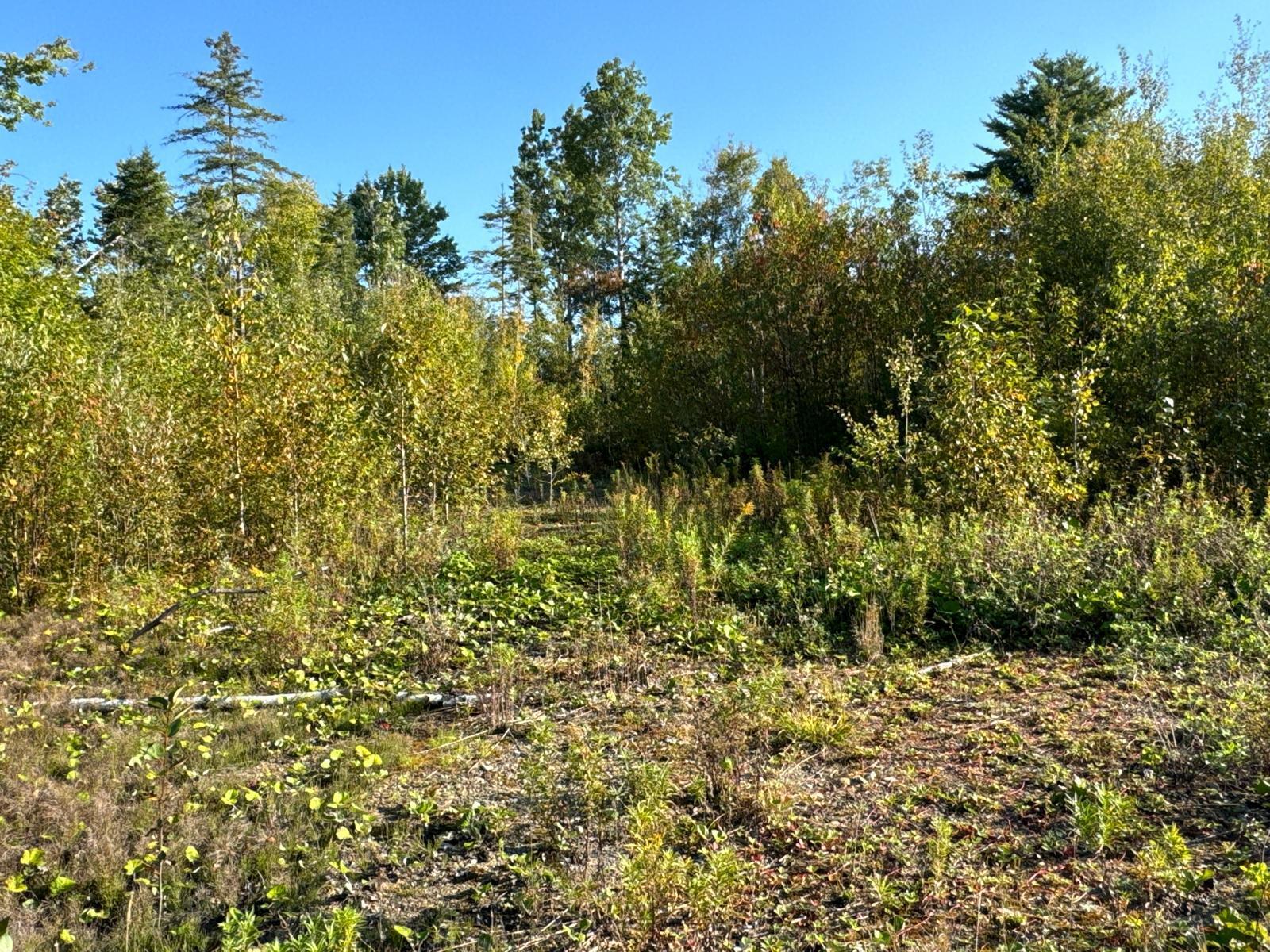 M8-l16 Grendell Road Property Photo 9