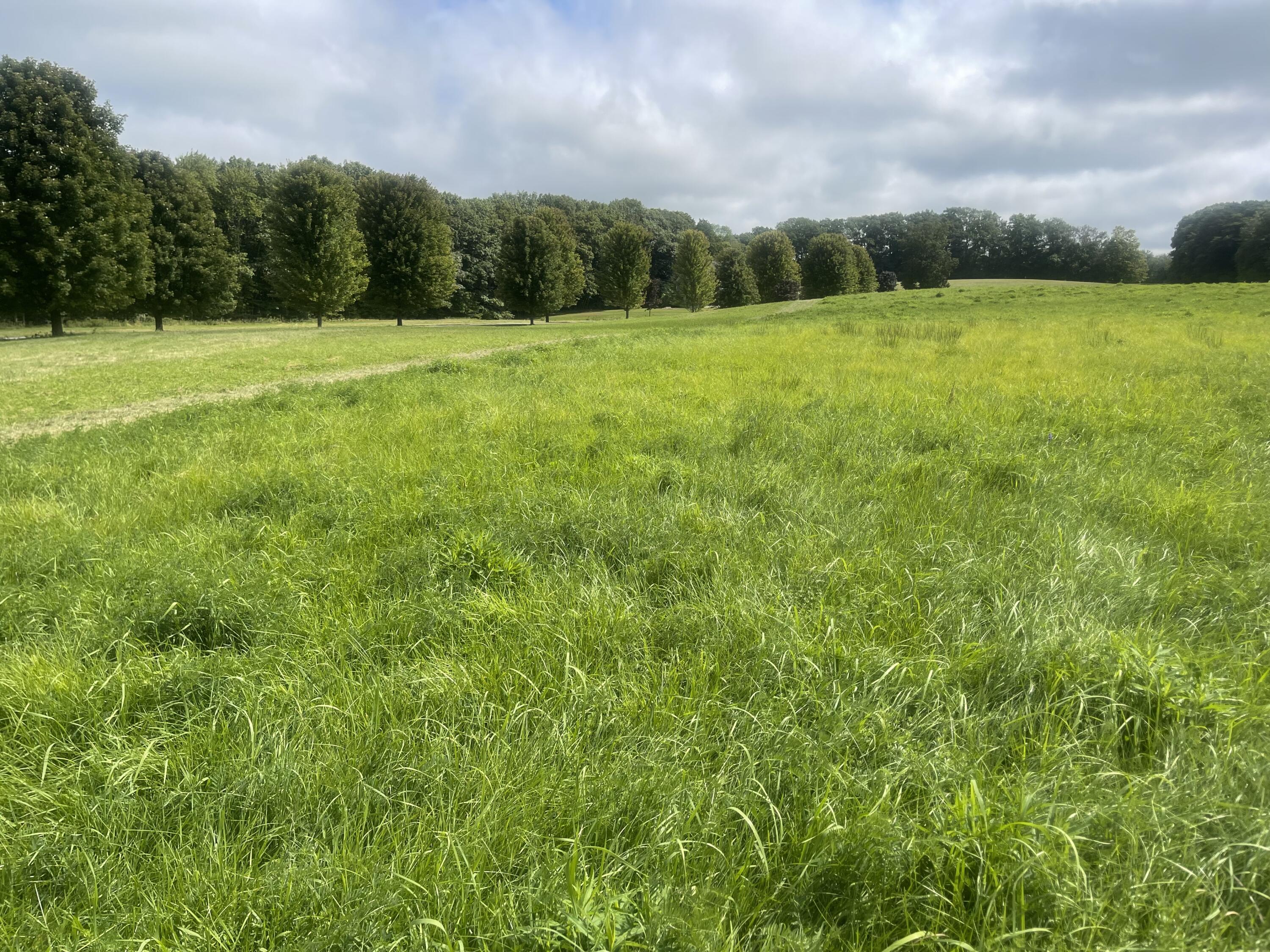 Lot 5 Deering Drive Property Photo 2