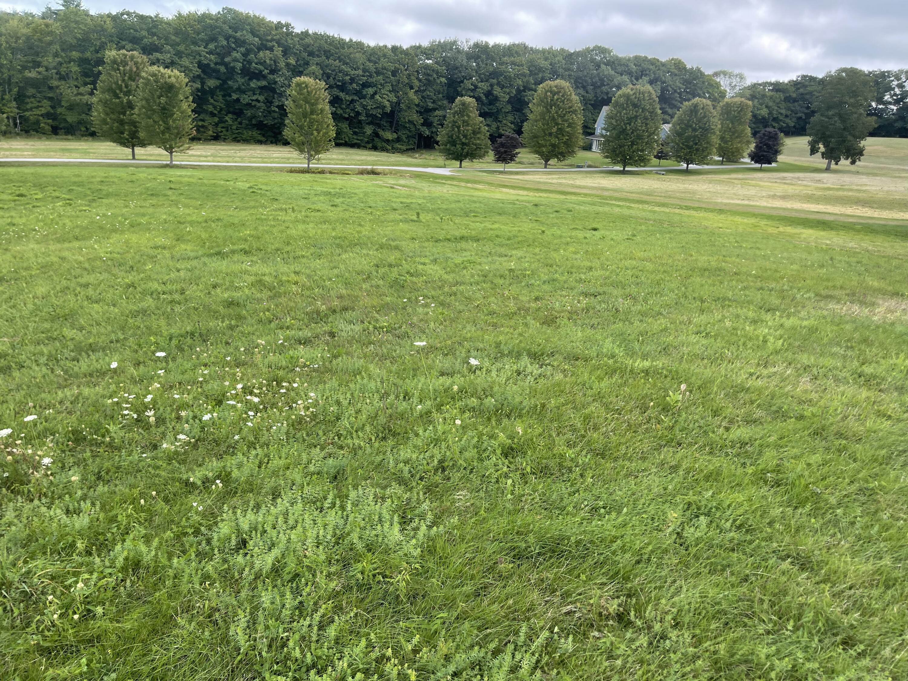 Lot 5 Deering Drive Property Photo 6