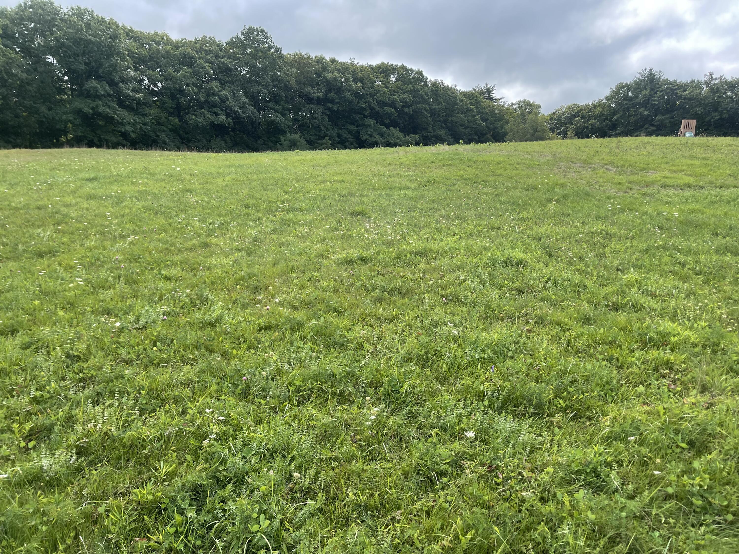 Lot 5 Deering Drive Property Photo 8