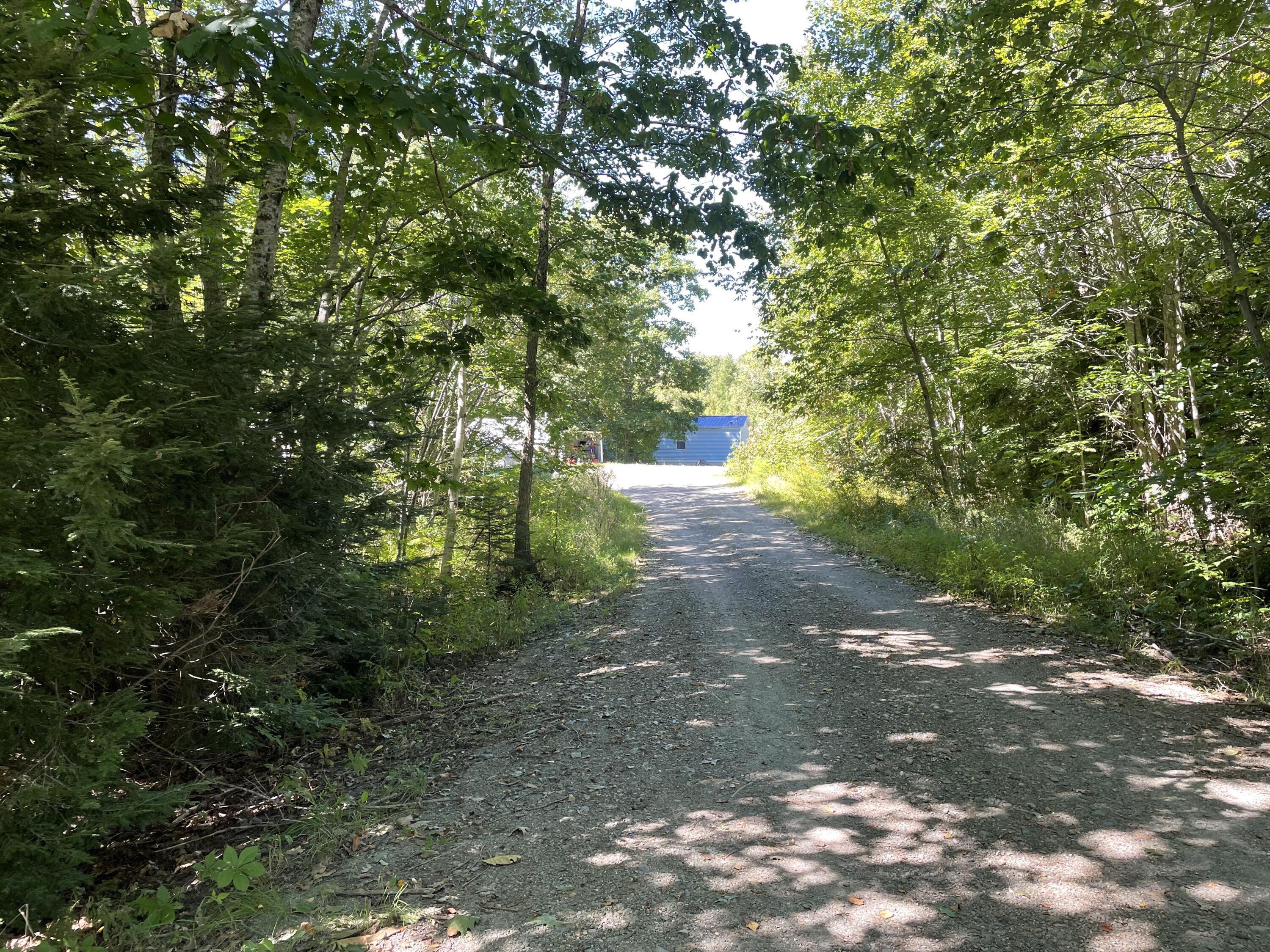 208 Mills Road Property Photo 41