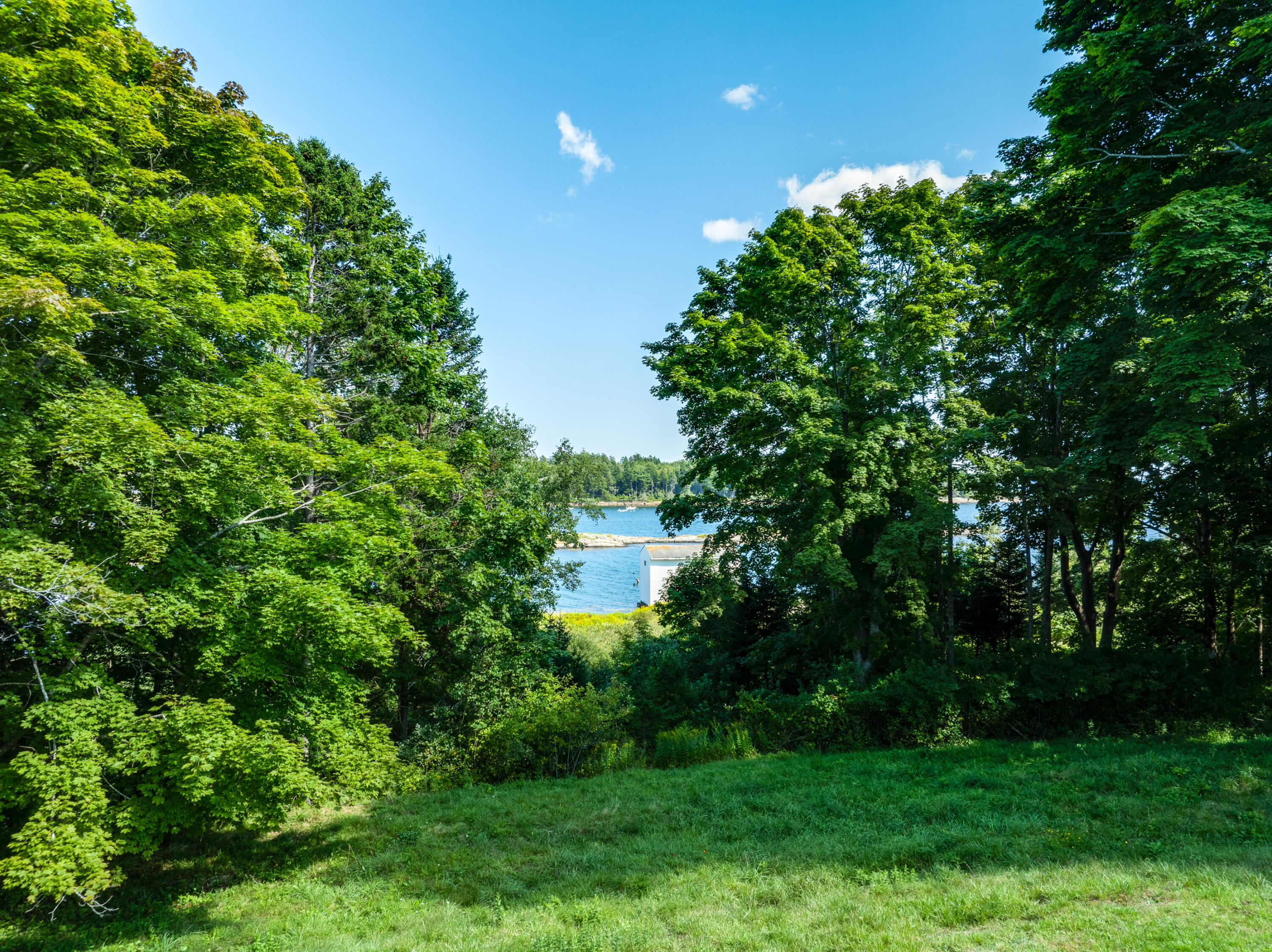 7 Leeman Road Property Photo 22