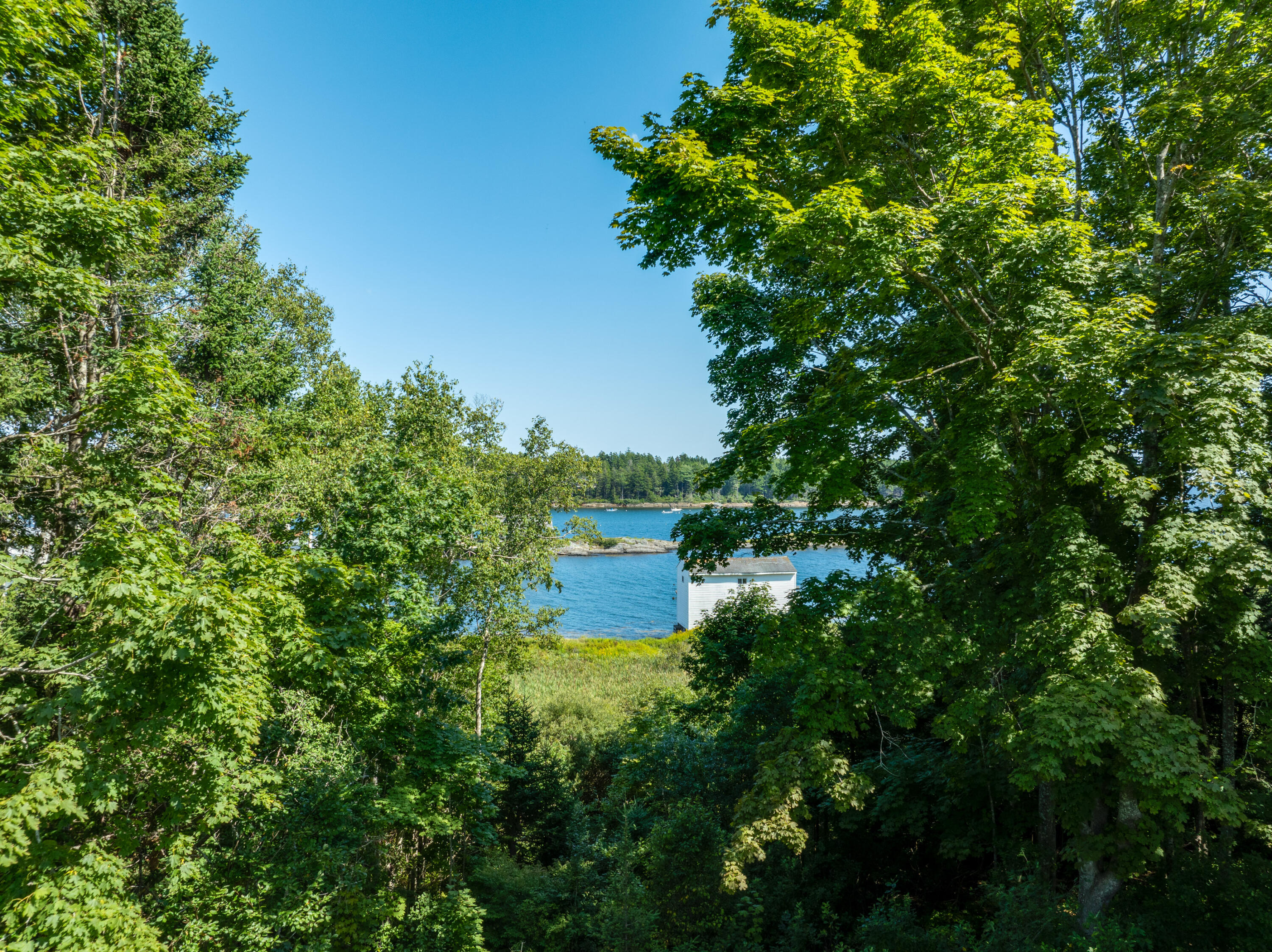 7 Leeman Road Property Photo 23