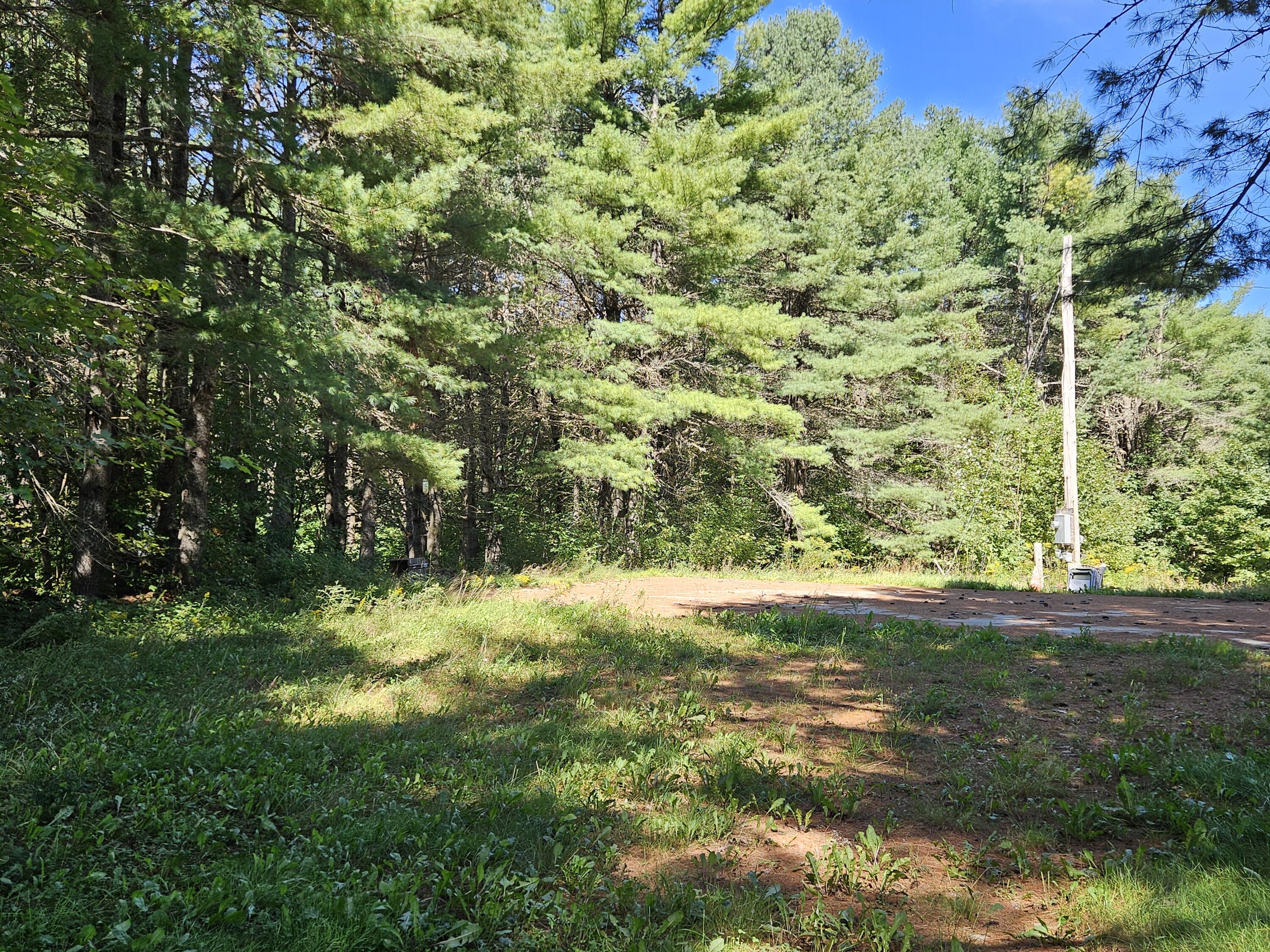 336 Medford Road Property Photo 4