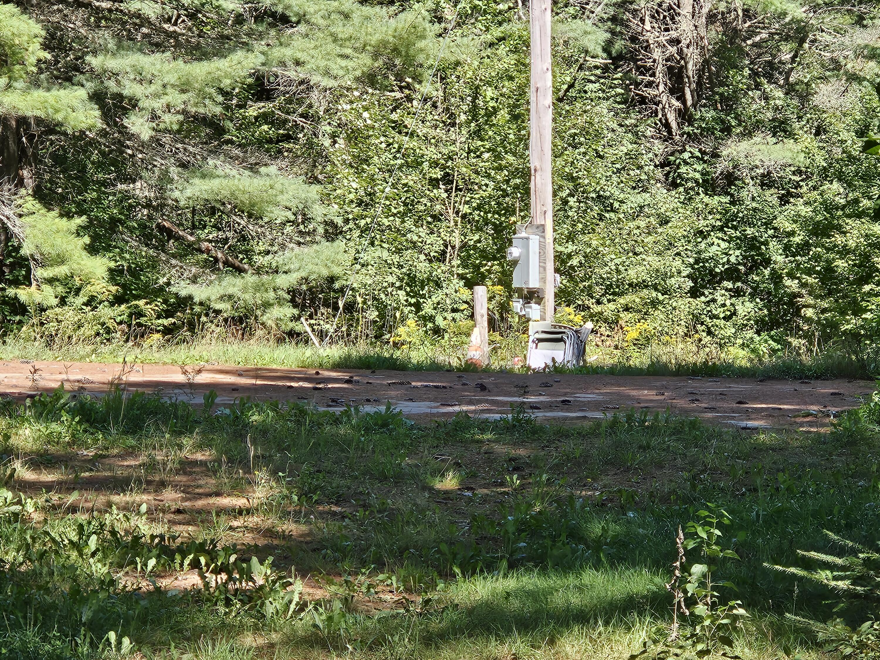 336 Medford Road Property Photo 6