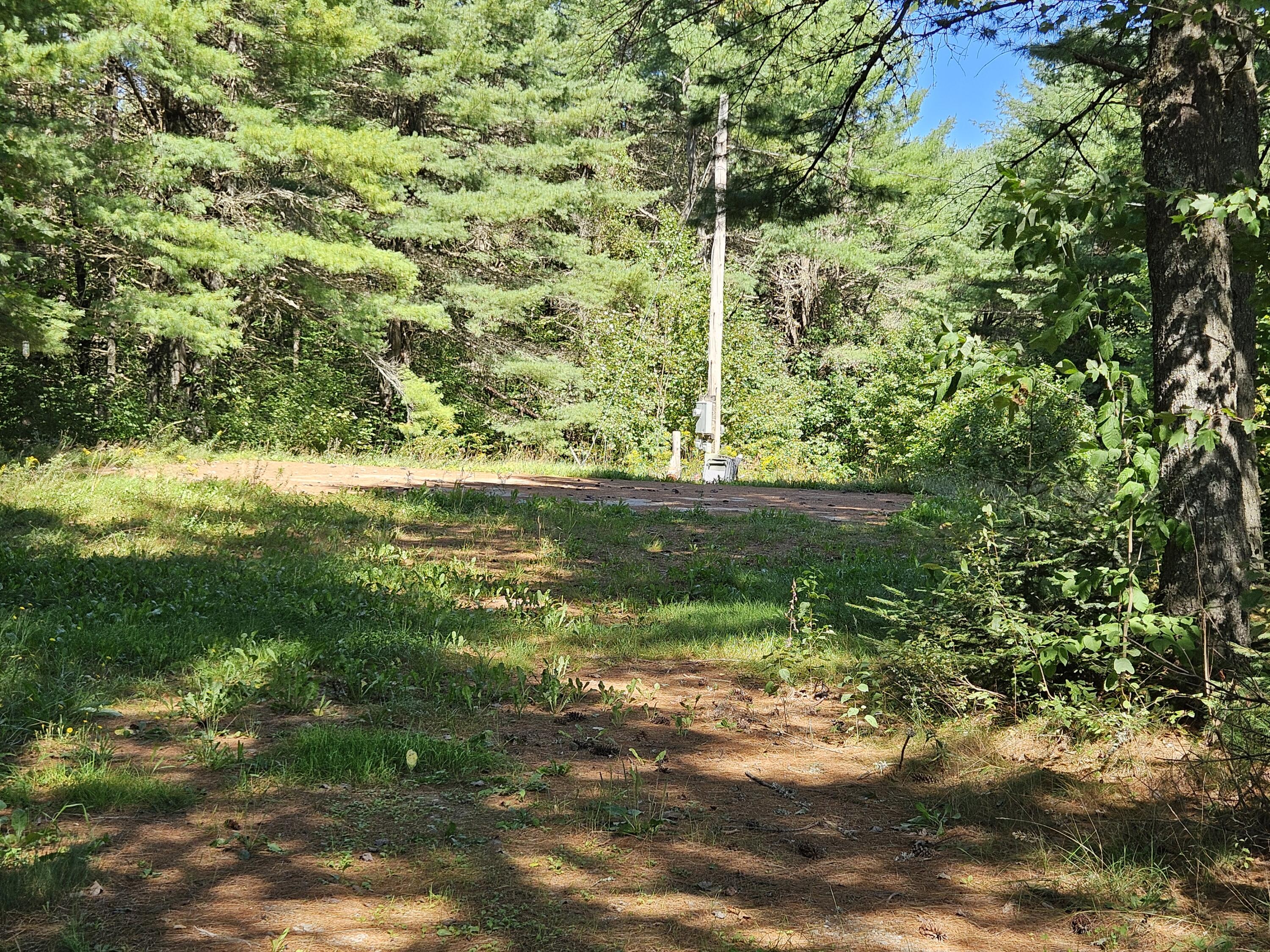 336 Medford Road Property Photo 7