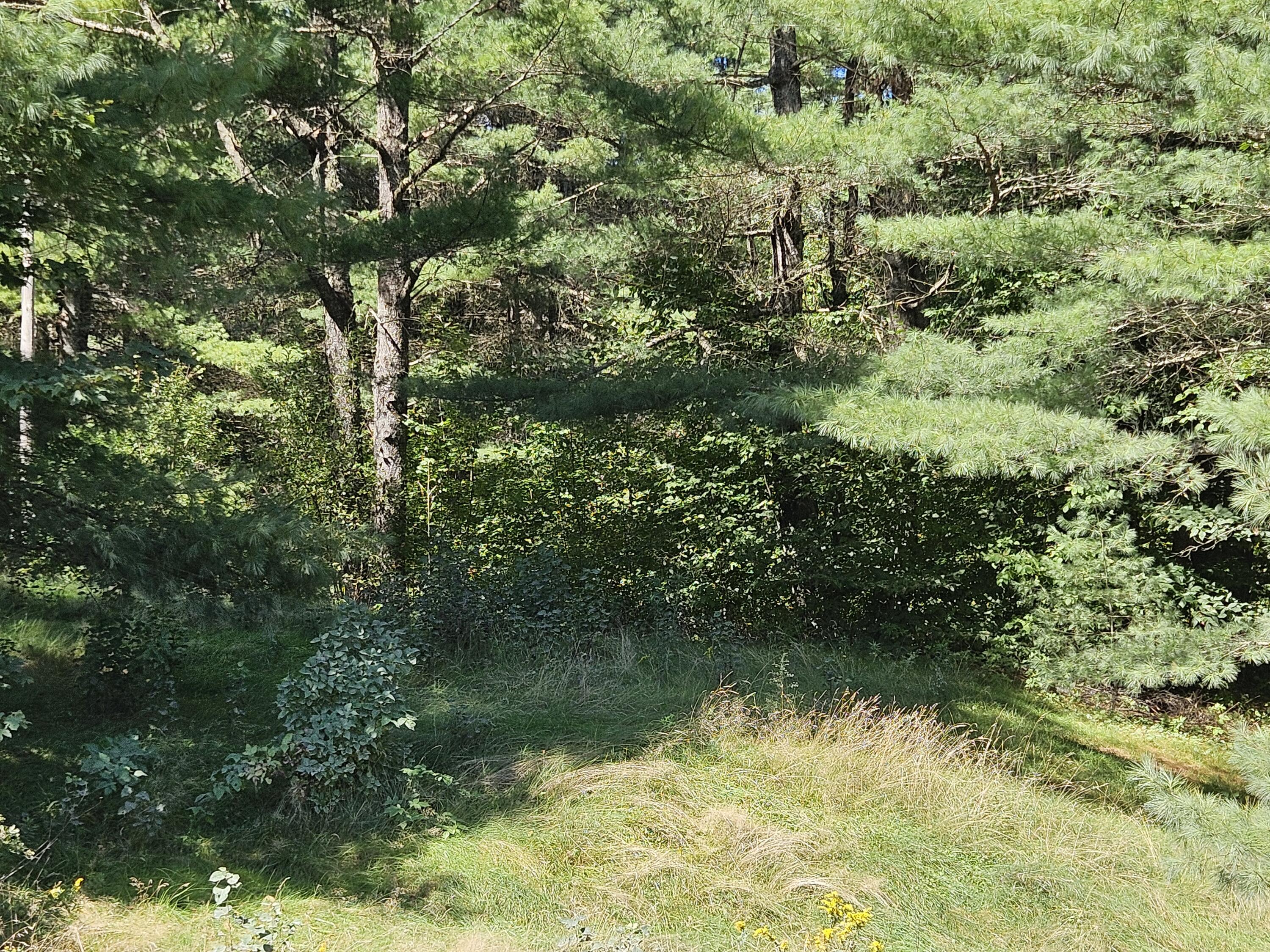 336 Medford Road Property Photo 8