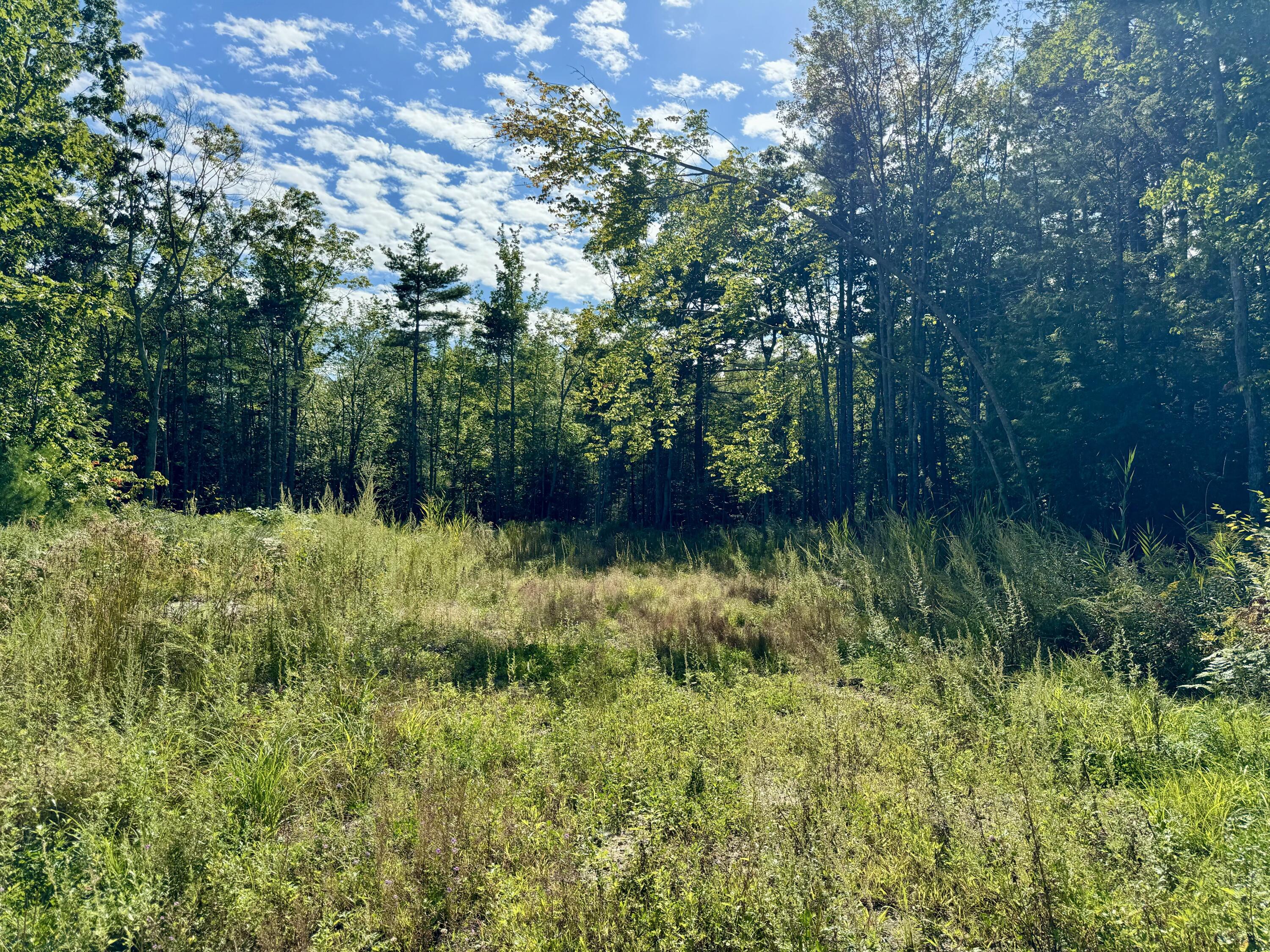 0 Capestone Drive Property Photo 1