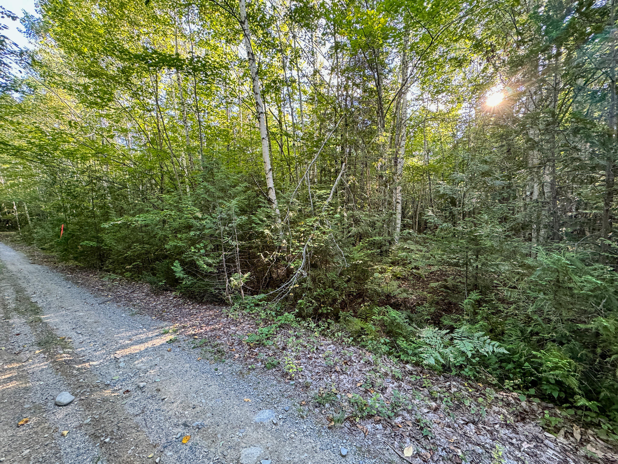 Po1-1 Deer Road Property Photo 12