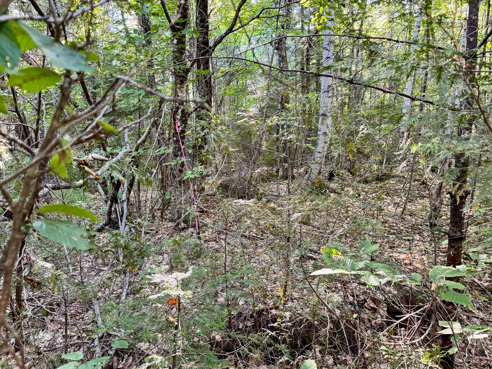 Po1-1 Deer Road Property Photo 13