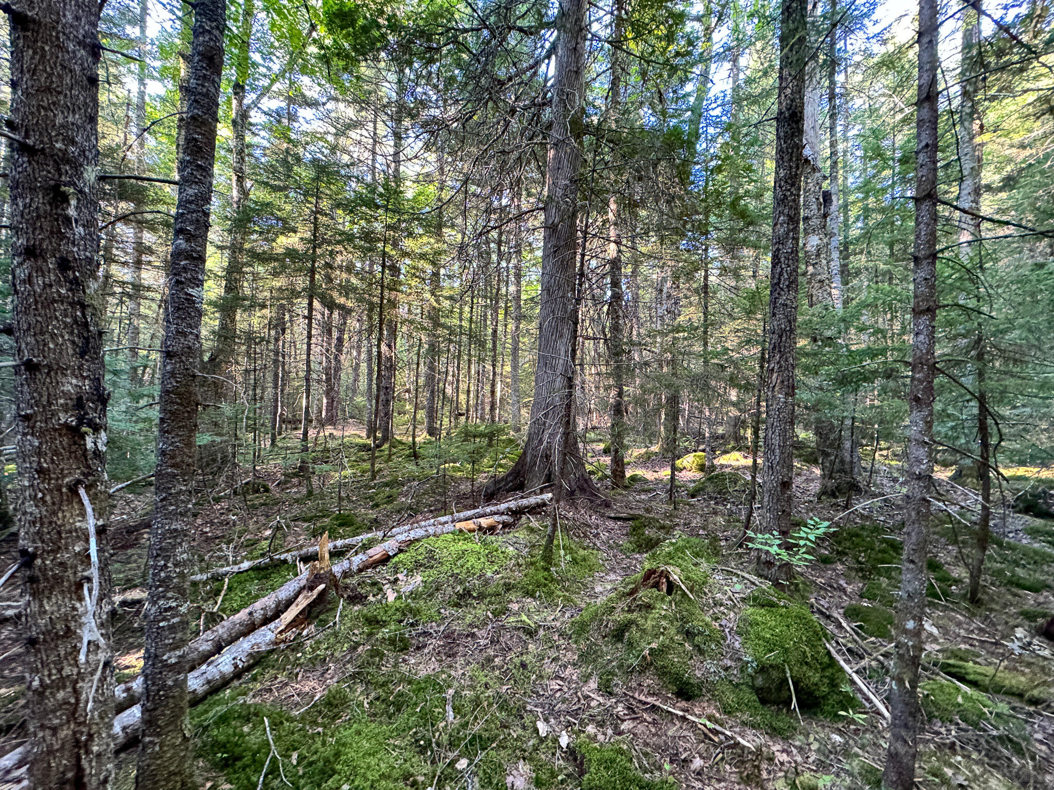 Po1-1 Deer Road Property Photo 24