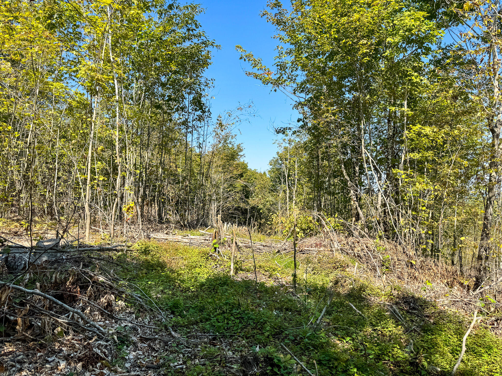 Po1-1 Deer Road Property Photo 27