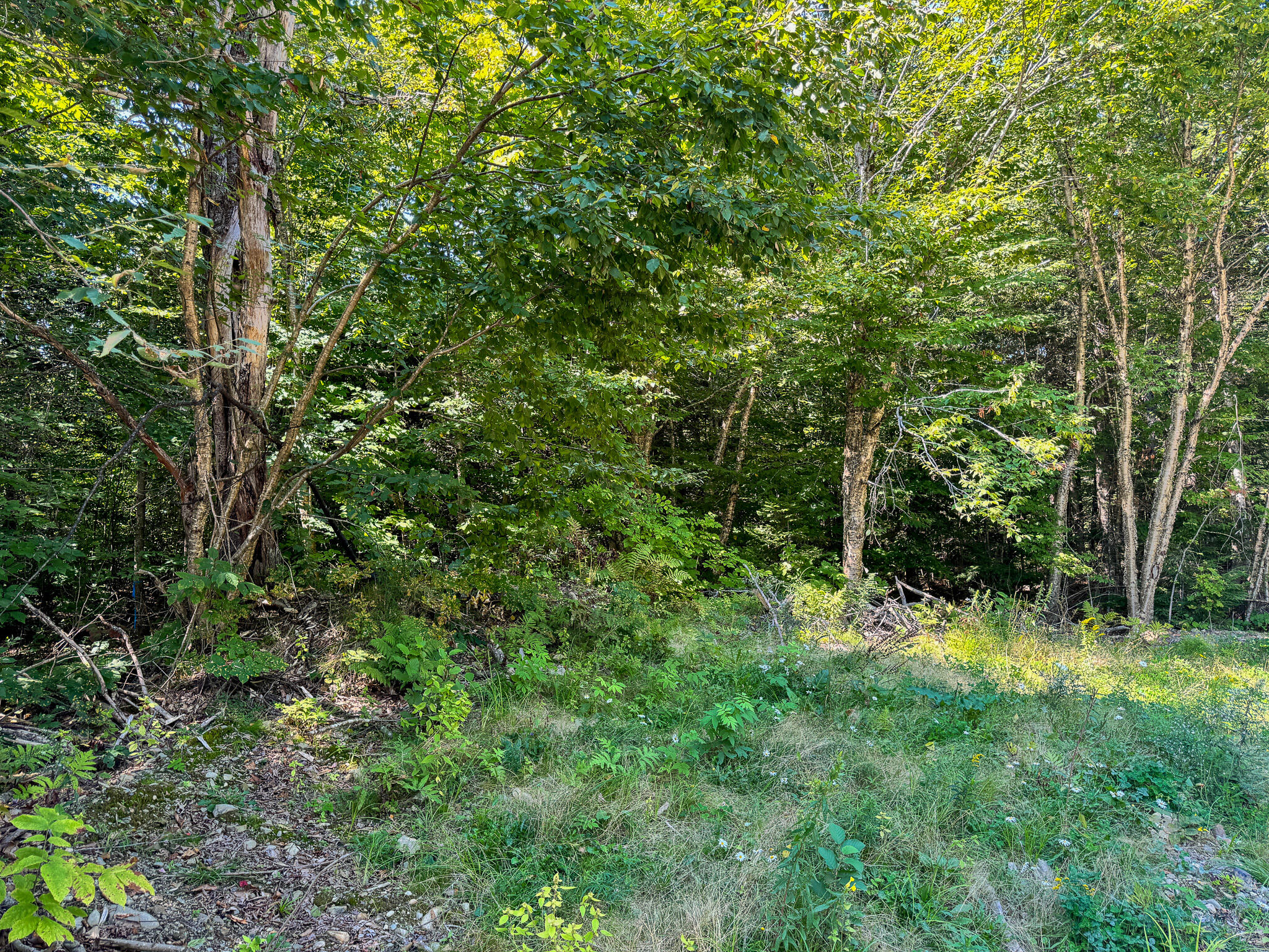 Po1-1 Deer Road Property Photo 30