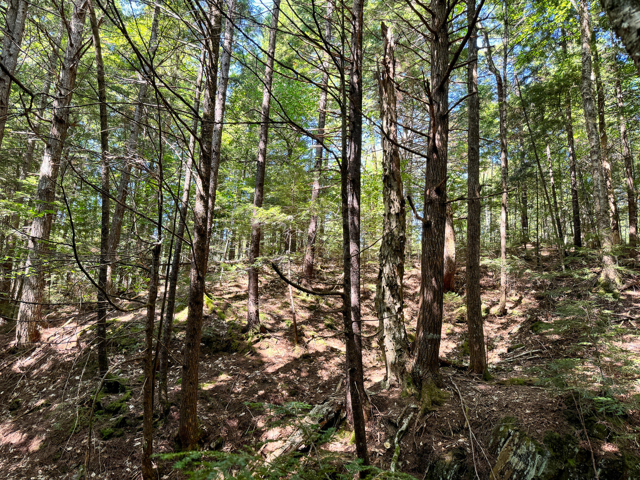 Po1-1 Deer Road Property Photo 38