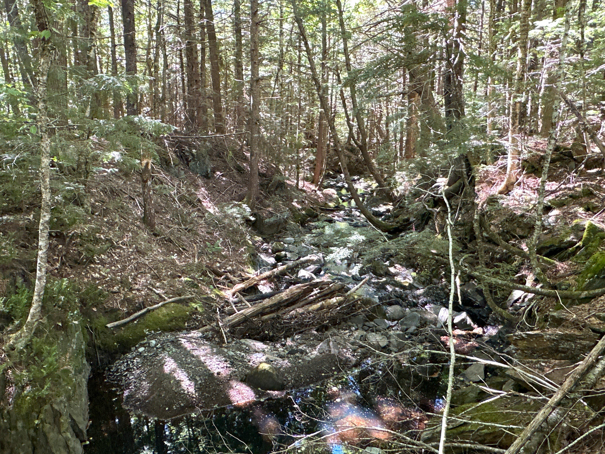 Po1-1 Deer Road Property Photo 46