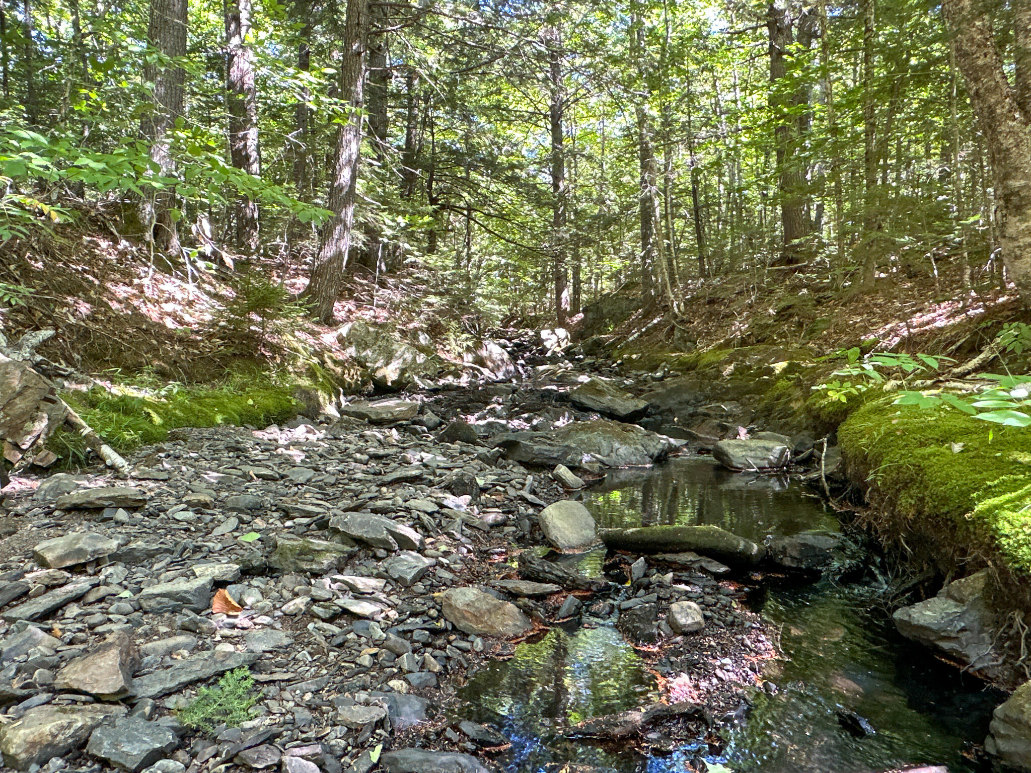 Po1-1 Deer Road Property Photo 47