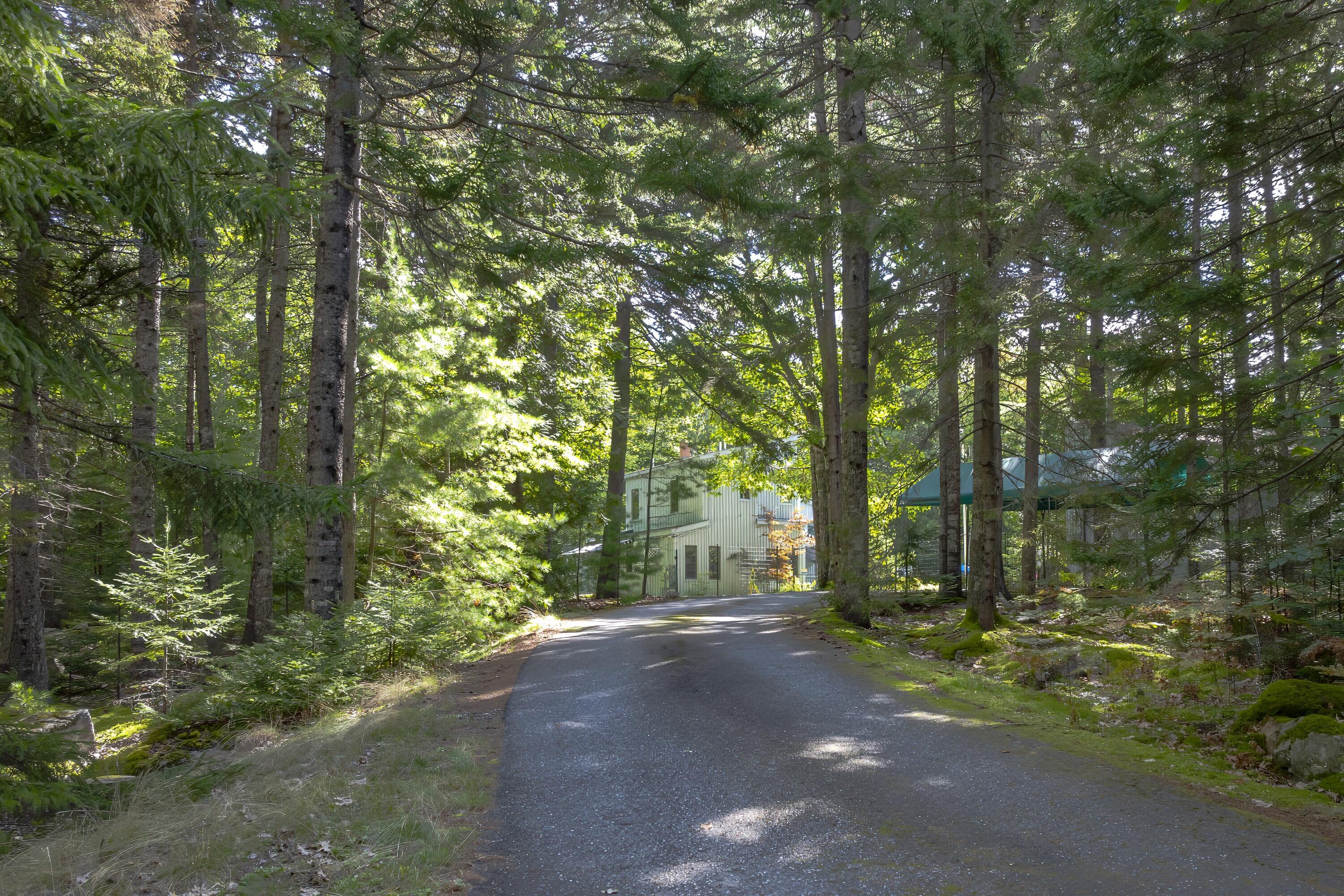 29 Whitney Farm Road Property Photo 10