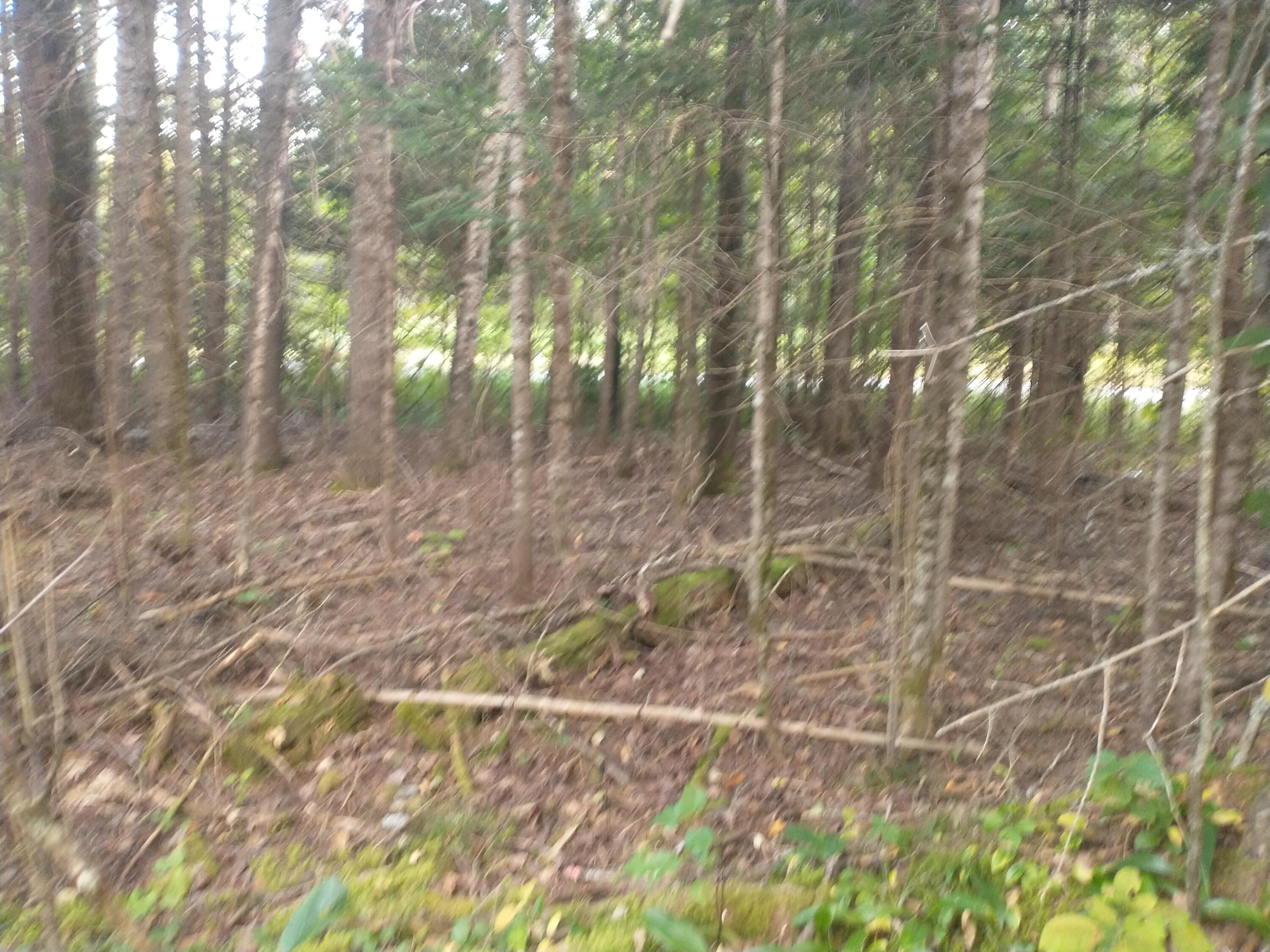 00 Tucker Ridge Road Property Photo 1