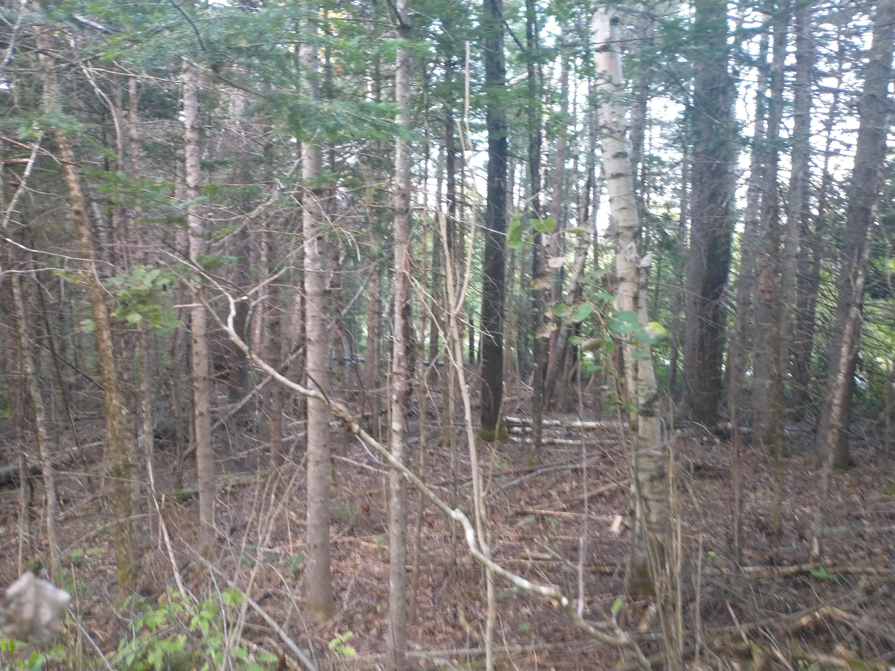 00 Tucker Ridge Road Property Photo 5