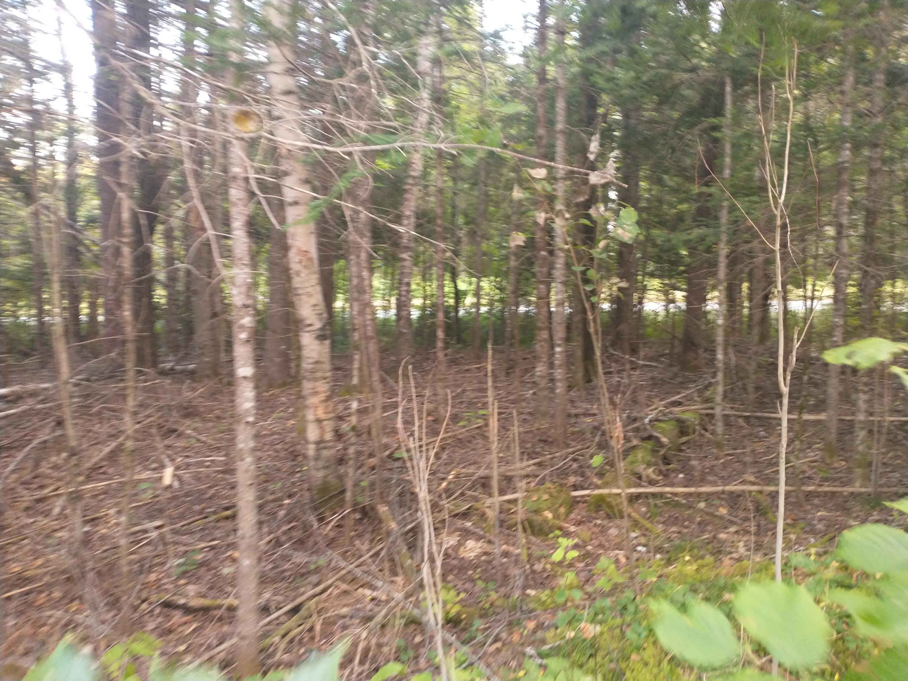 00 Tucker Ridge Road Property Photo 6