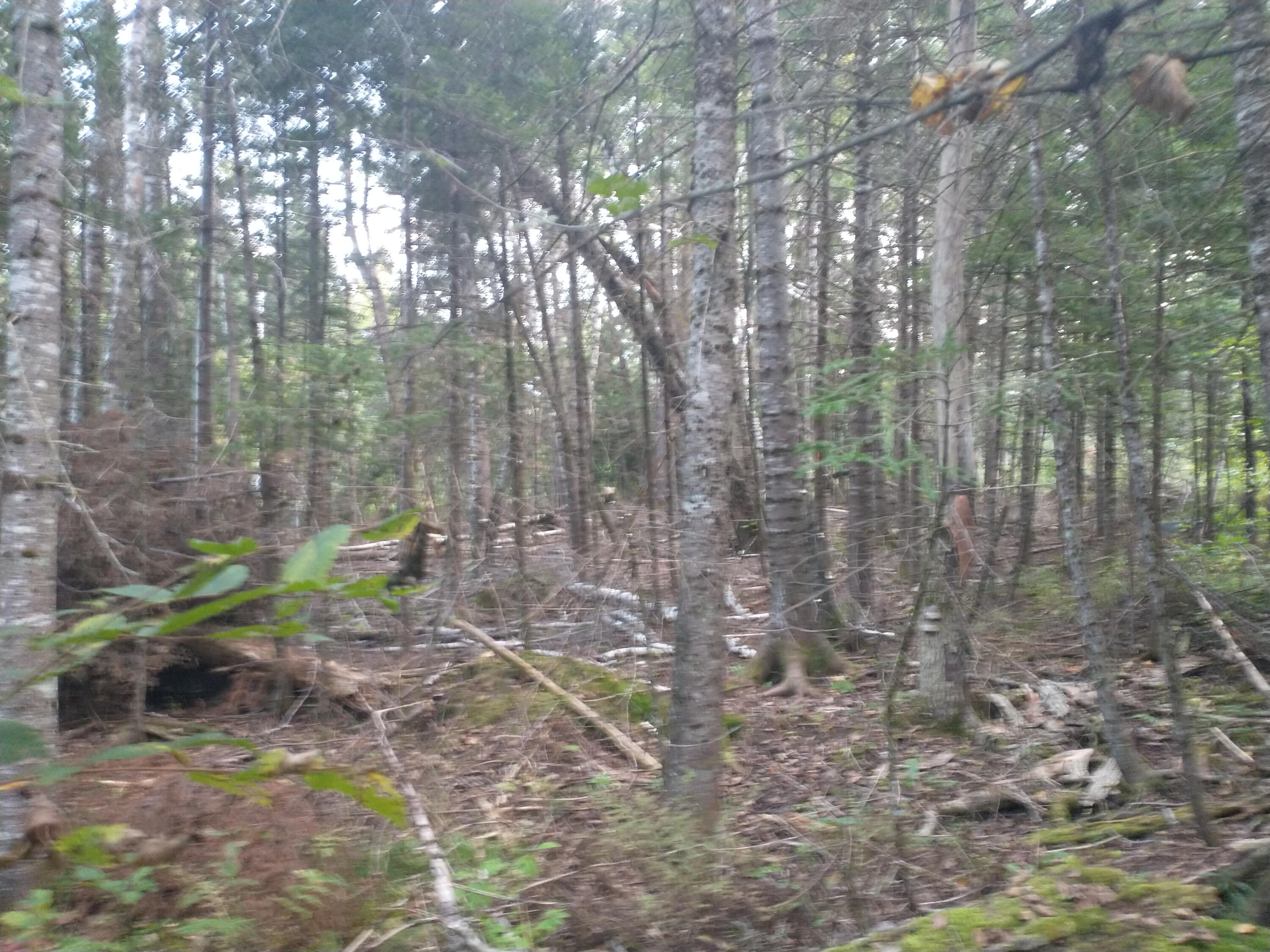 00 Tucker Ridge Road Property Photo 8