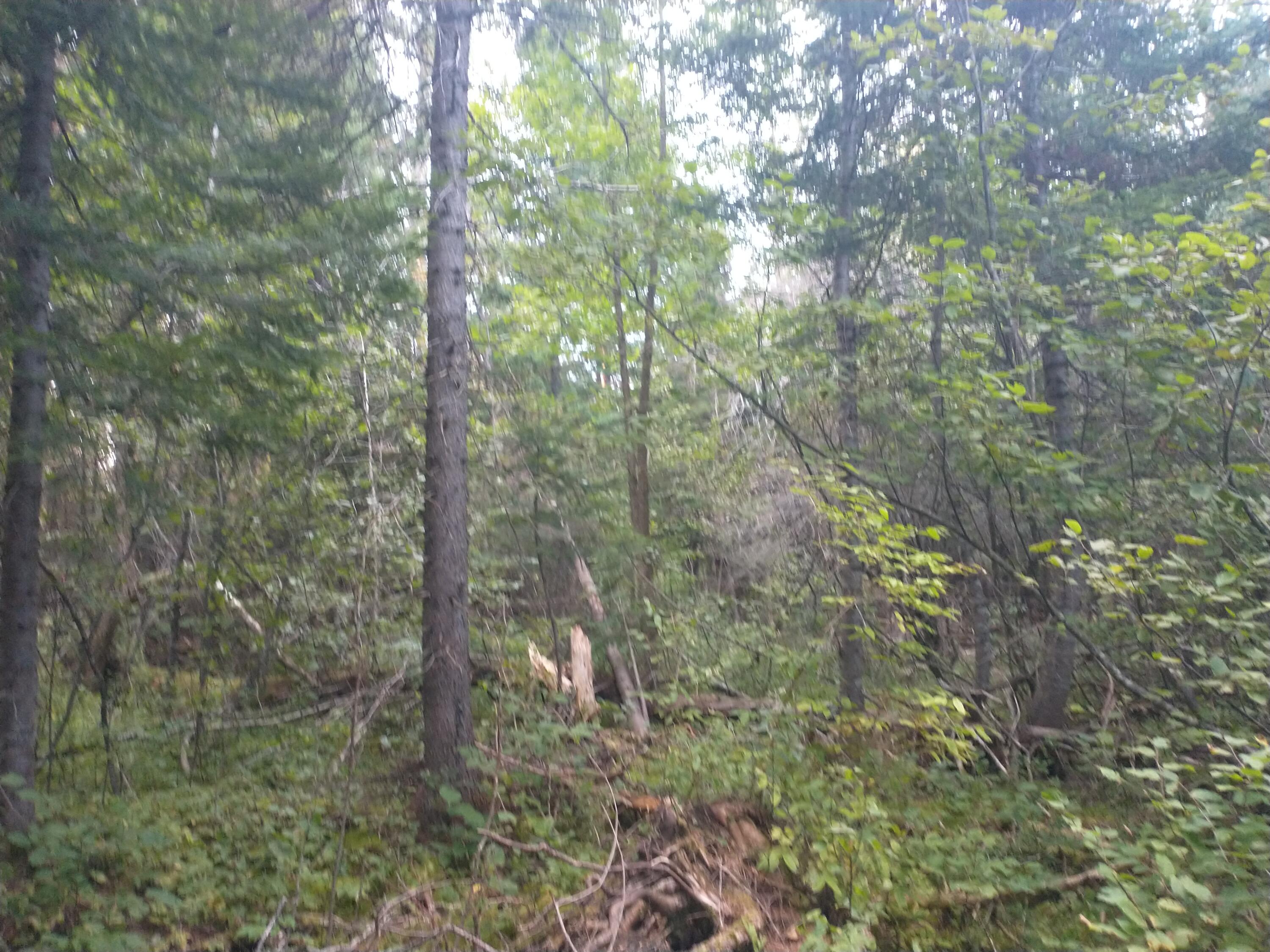 00 Tucker Ridge Road Property Photo 10