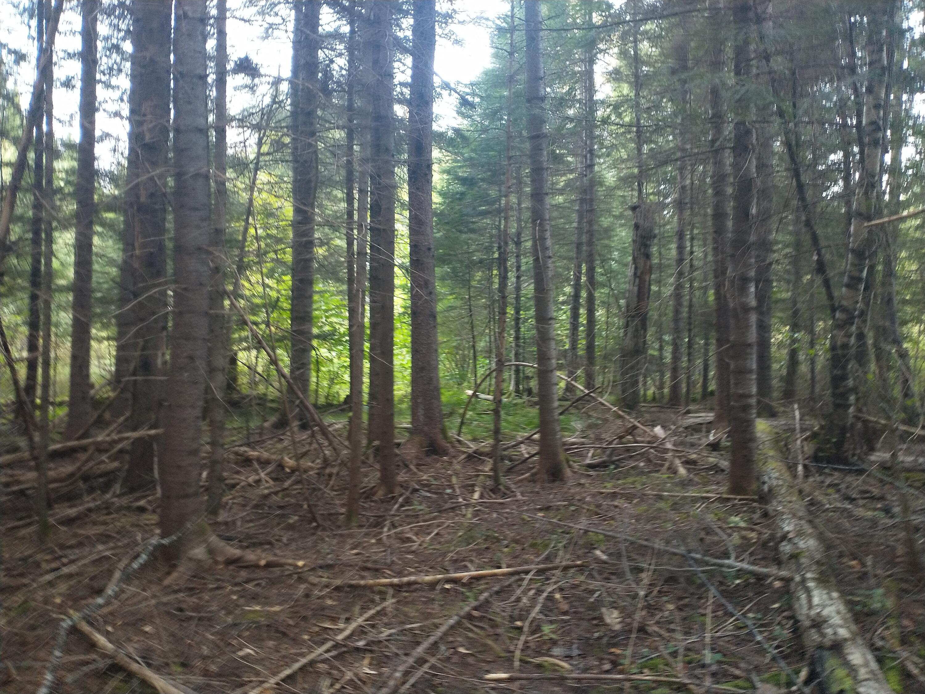 00 Tucker Ridge Road Property Photo 14