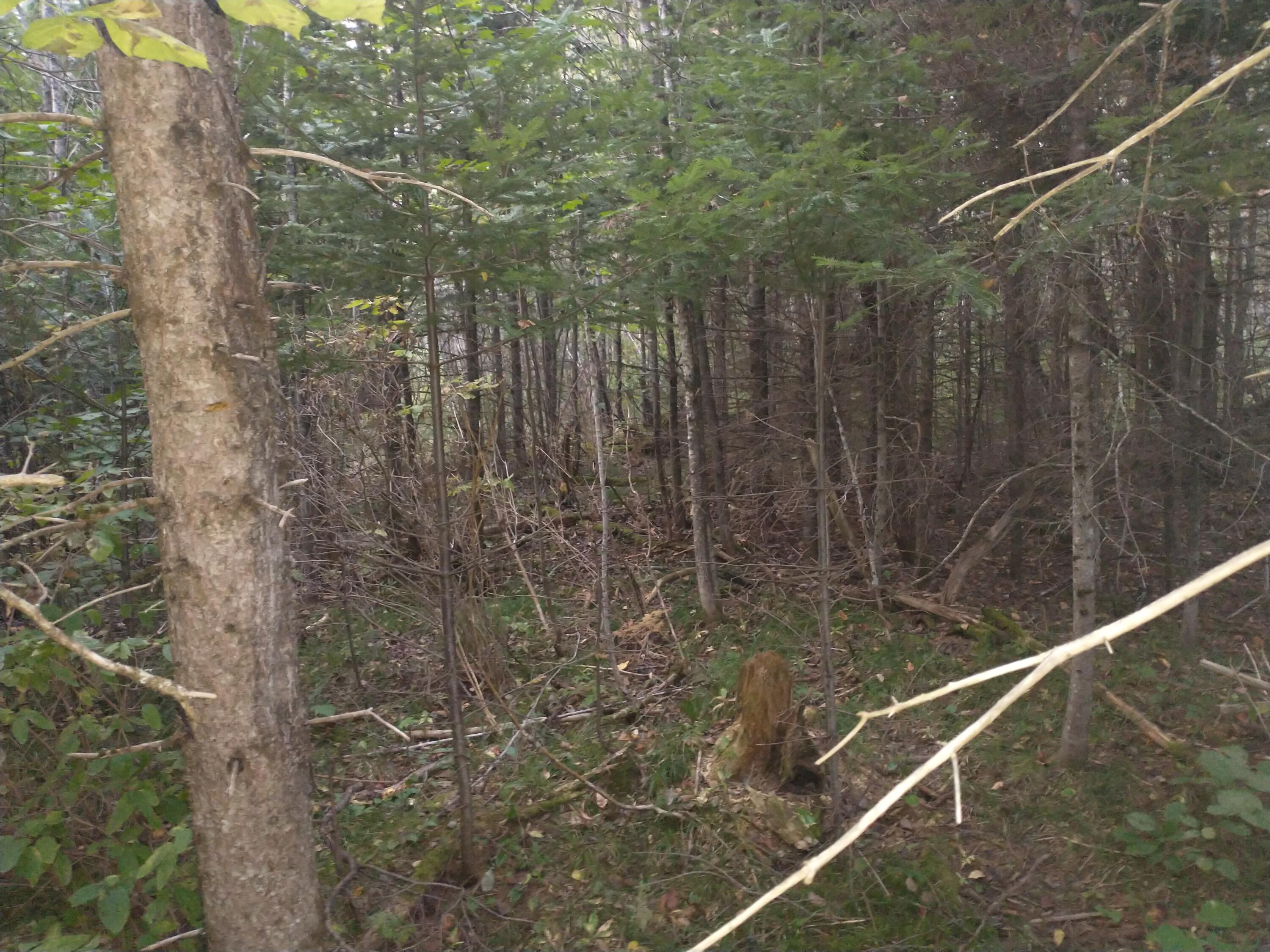 00 Tucker Ridge Road Property Photo 3