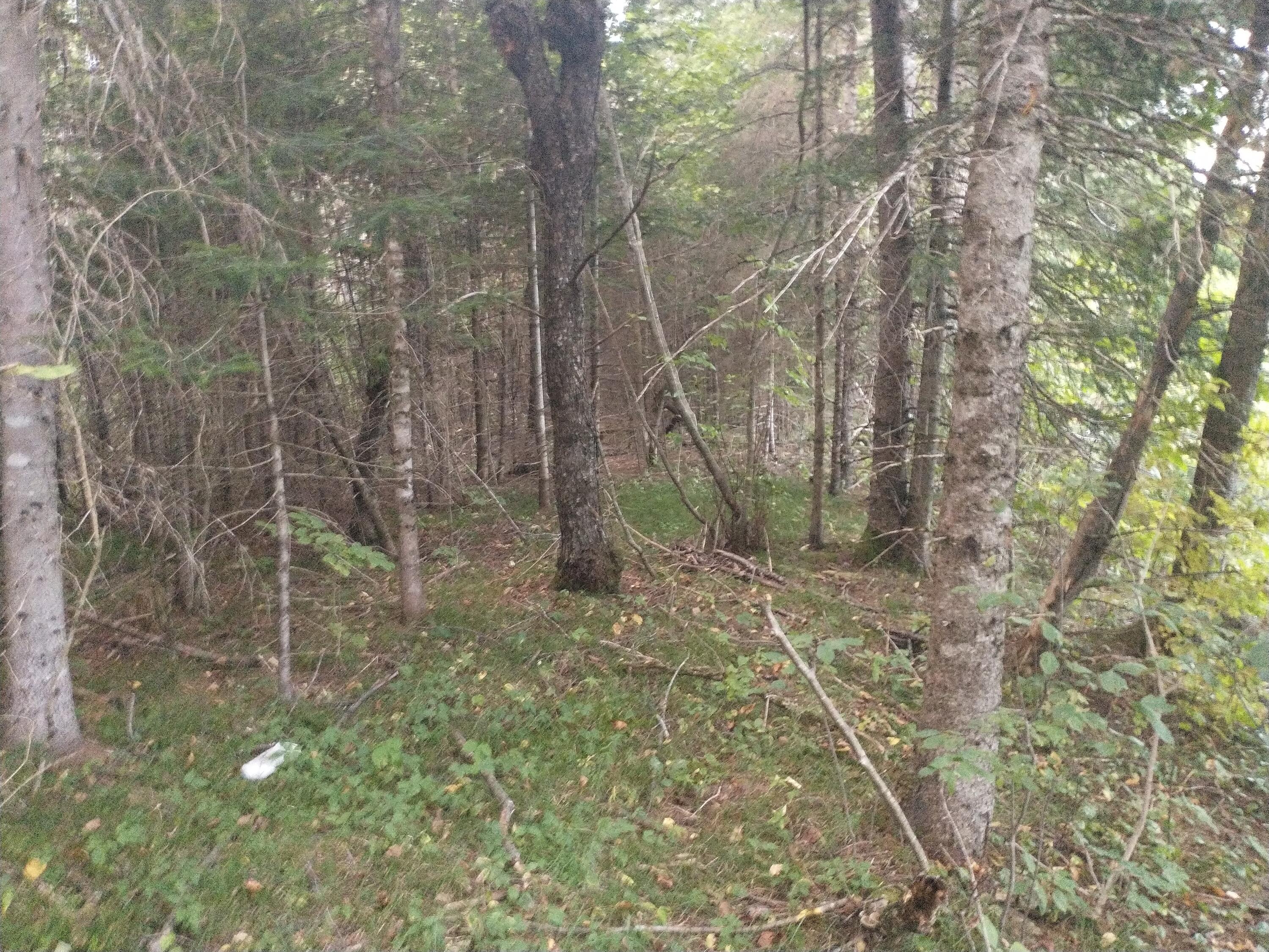 00 Tucker Ridge Road Property Photo 6
