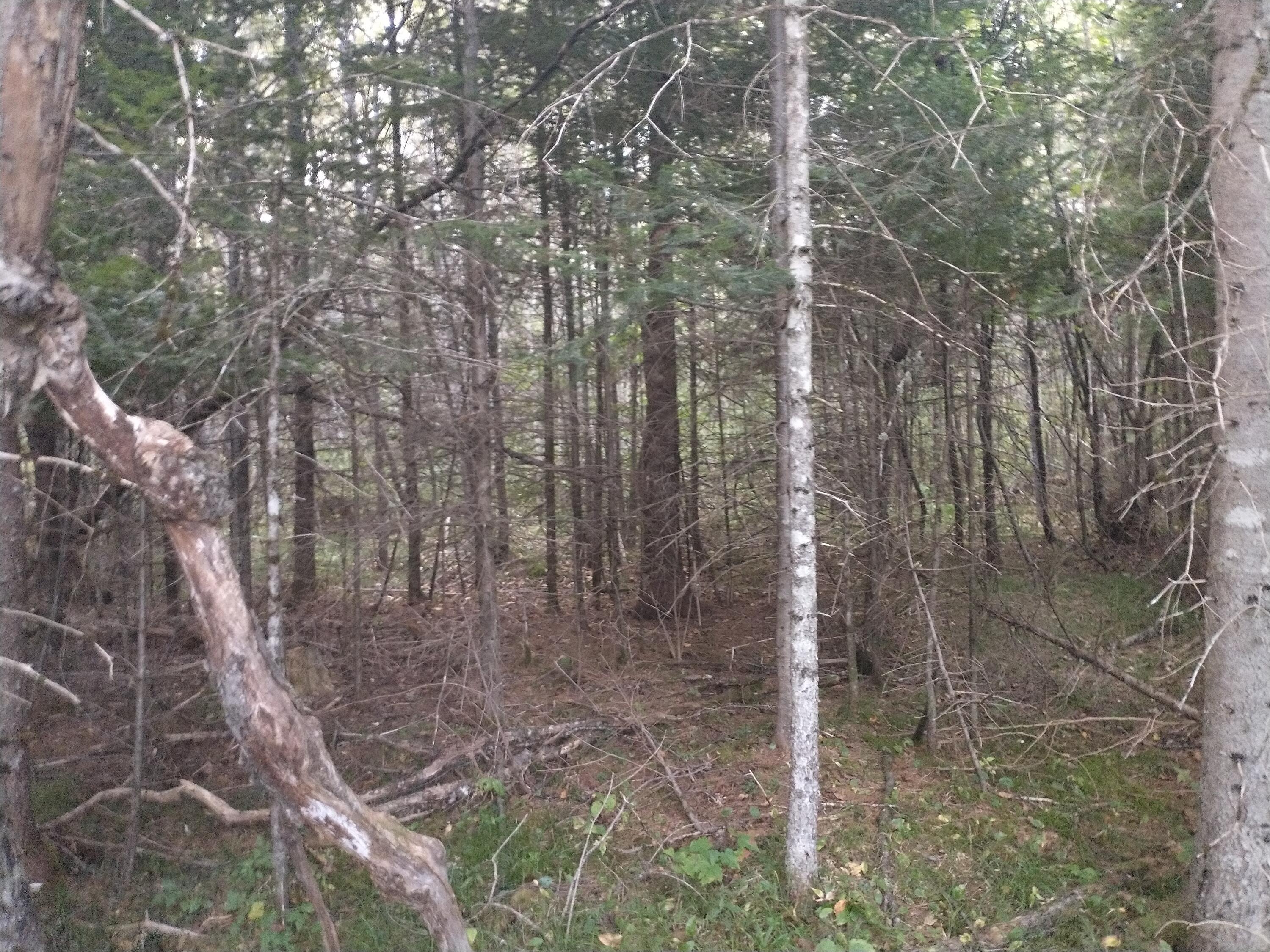 00 Tucker Ridge Road Property Photo 8